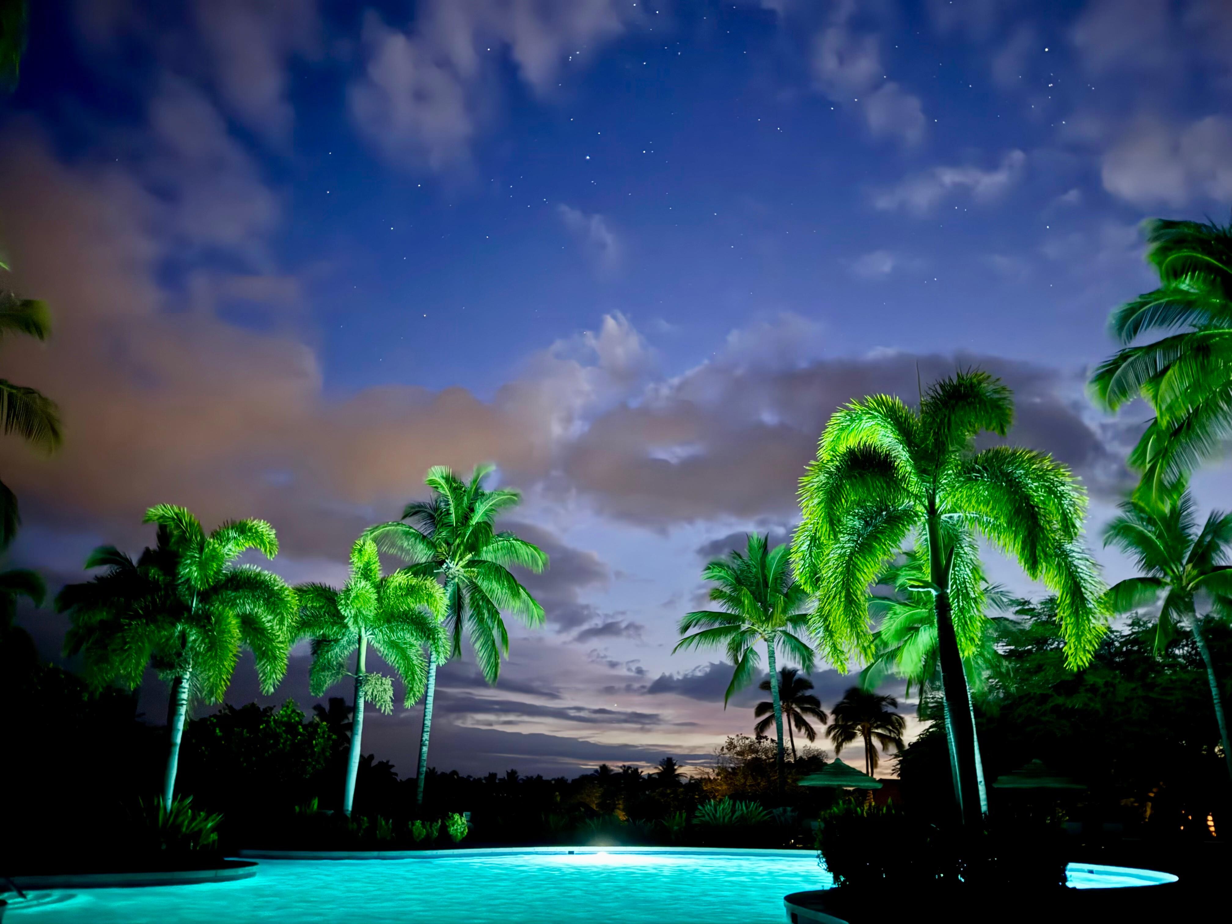Night swimming 