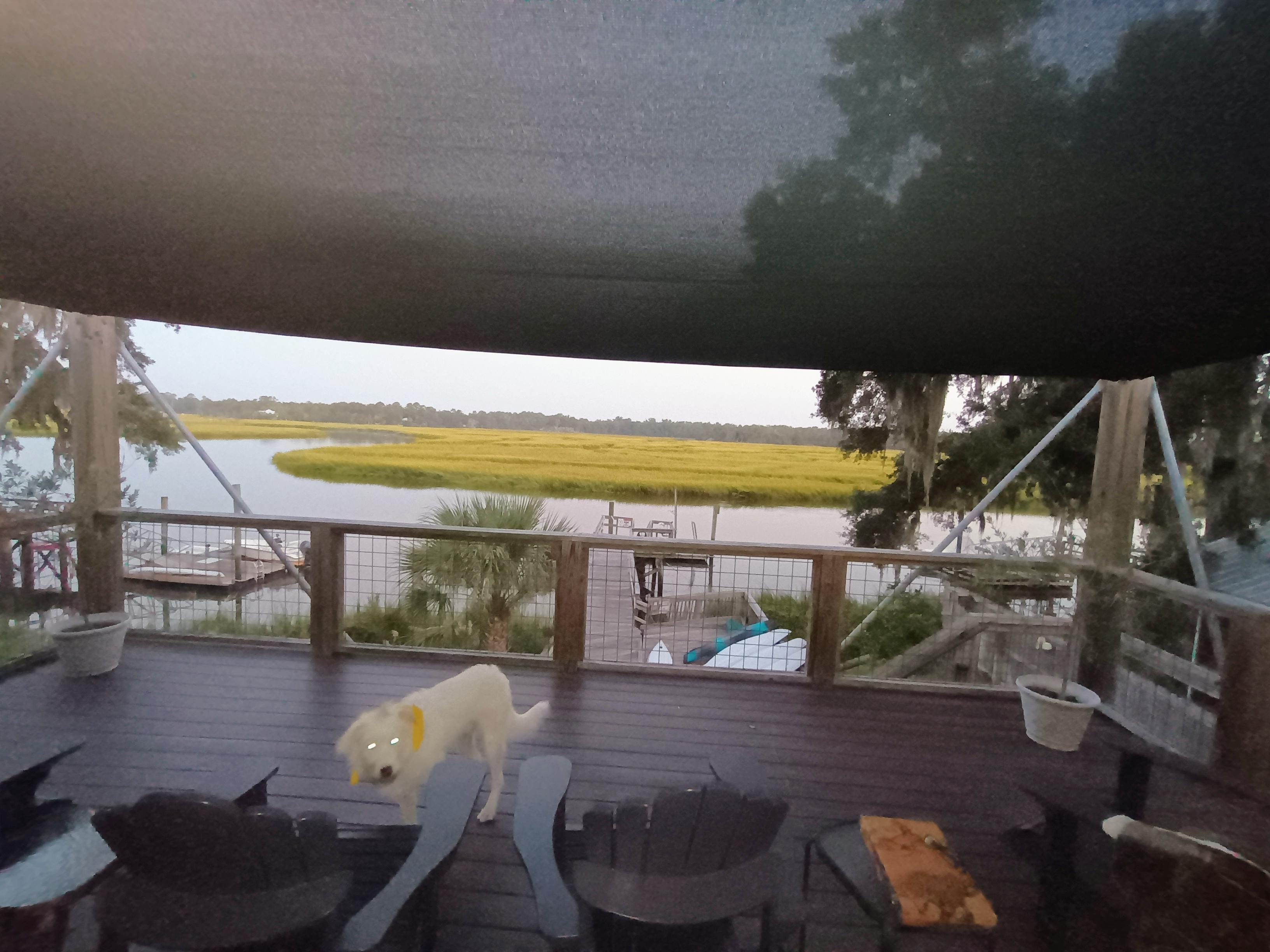 Boomer enjoying the deck as well.