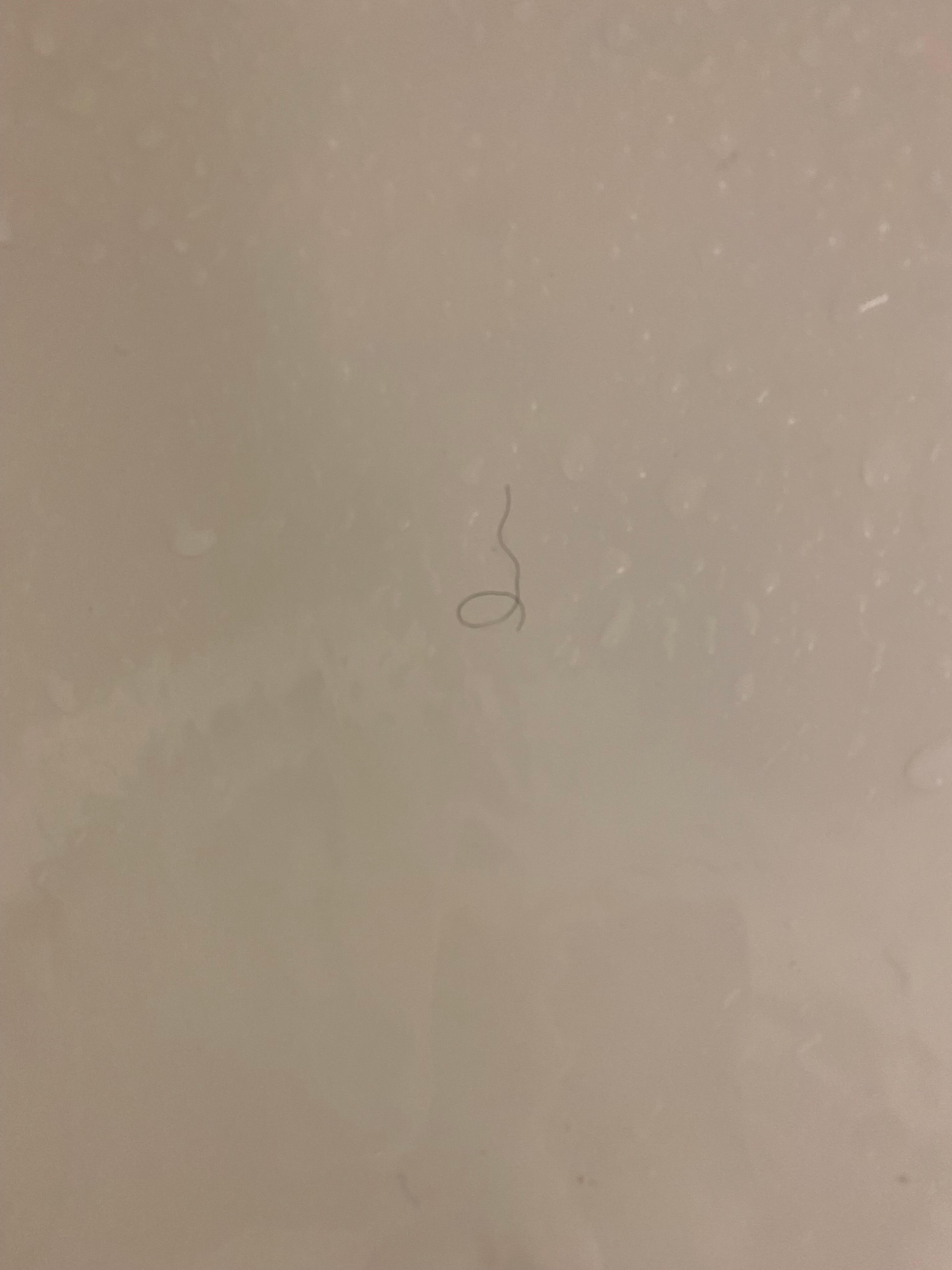 More hair in tub