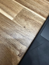 Roach on kitchen table