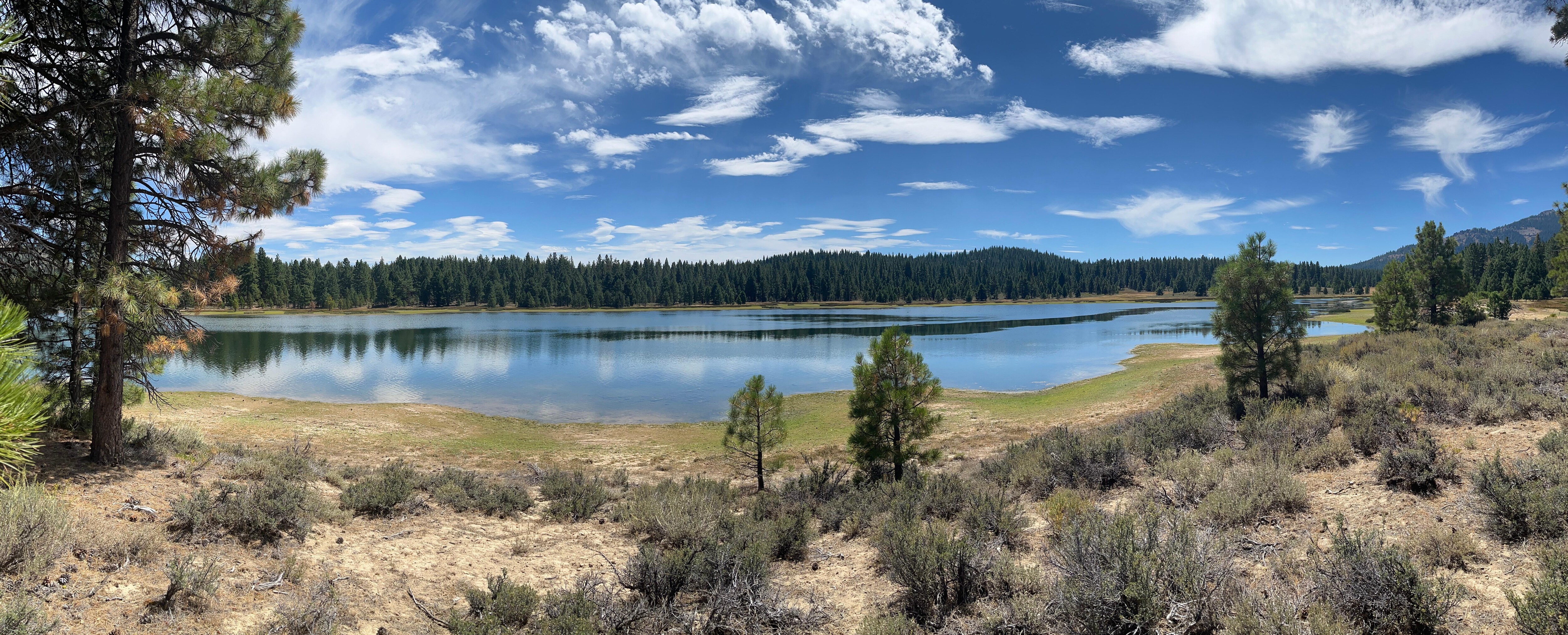 Lake Davis