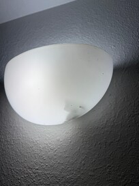 Tissue in the light