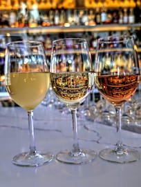 Mimosa flight at the Studio