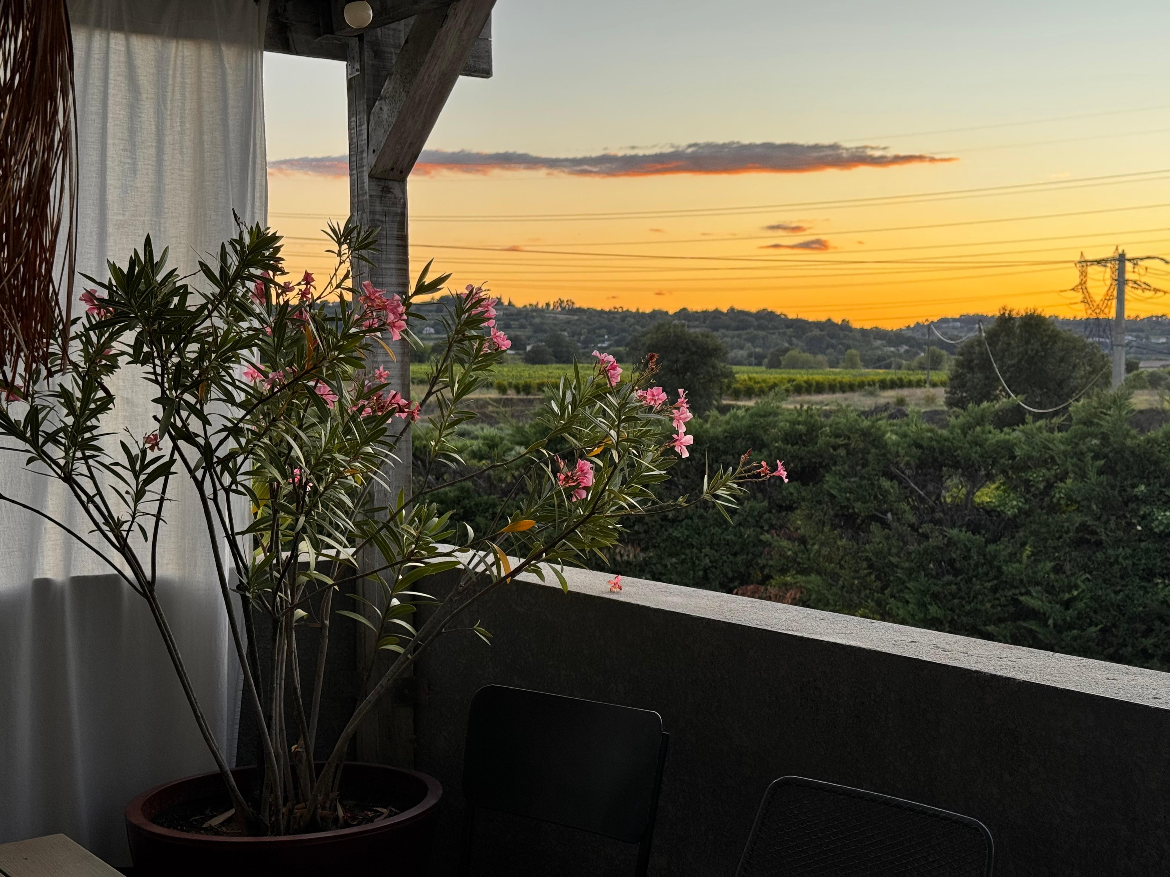 Sonnenuntergang - Blick von der Terrasse 