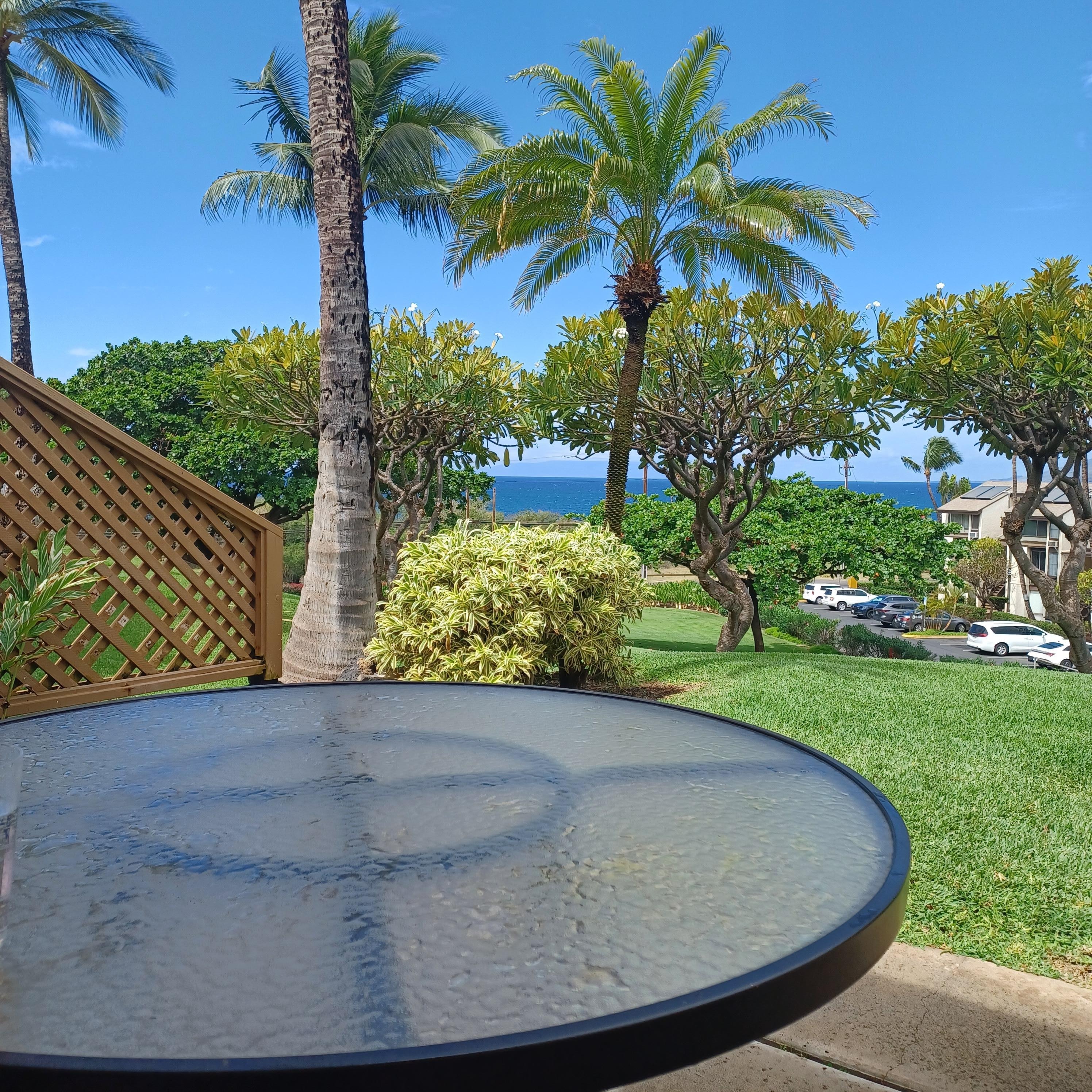 We saw our fair share of whales off on the distance