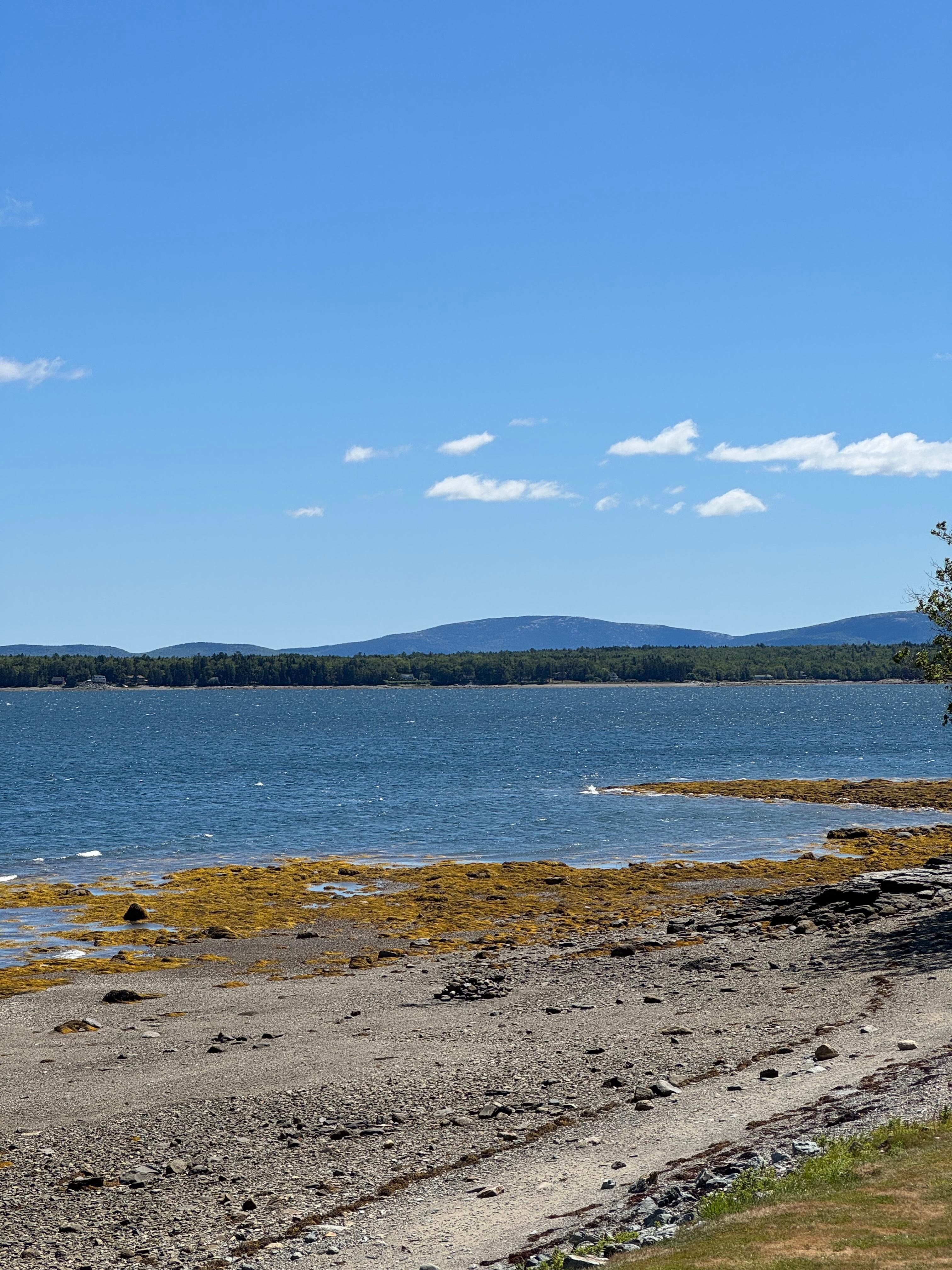 View from shore of Cadillac mountain. 