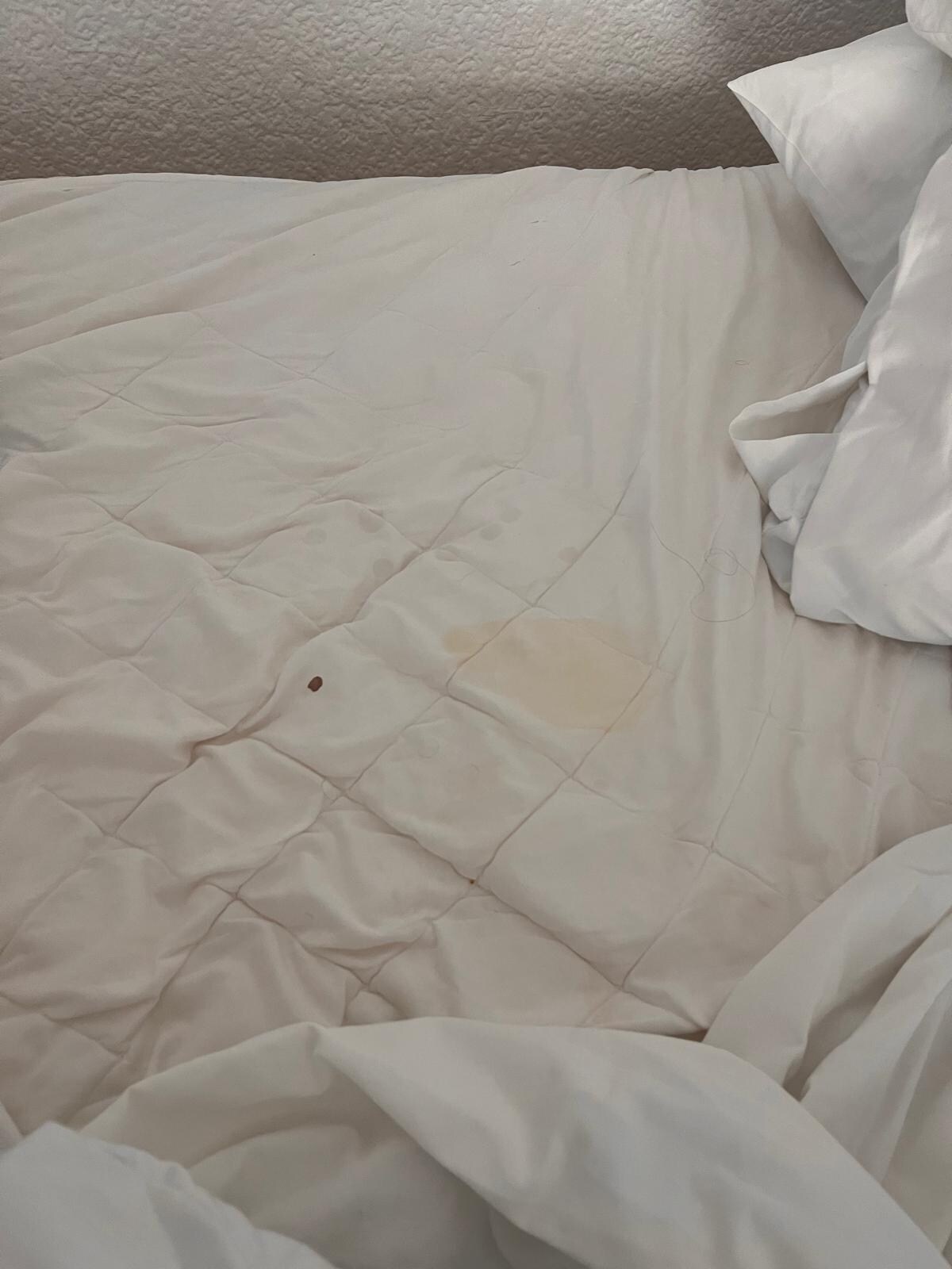 We found this disgusting spot in my bed. We complained immediately but the bedding was never changed. 