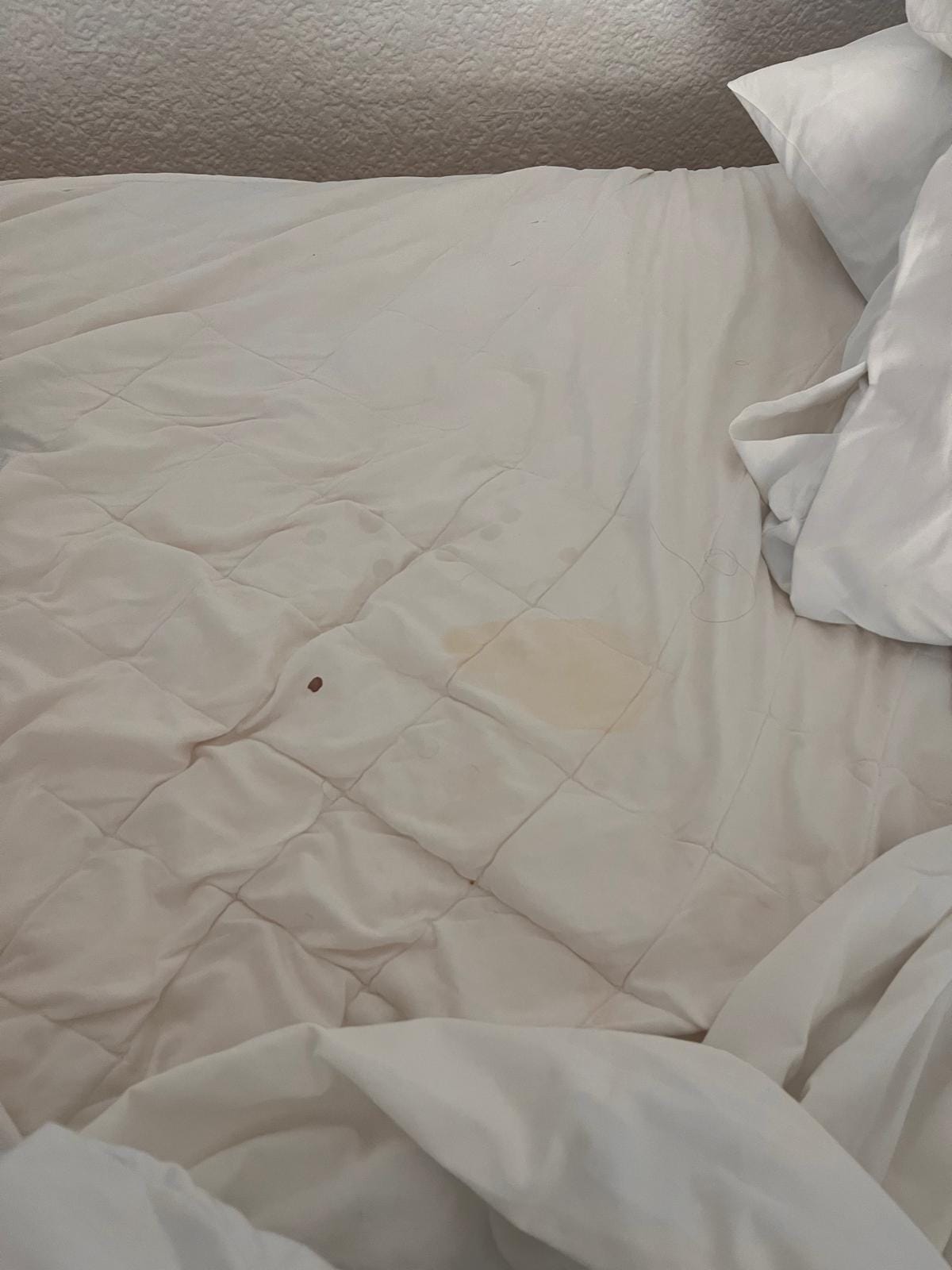 We found this disgusting spot in my bed. We complained immediately but the bedding was never changed.