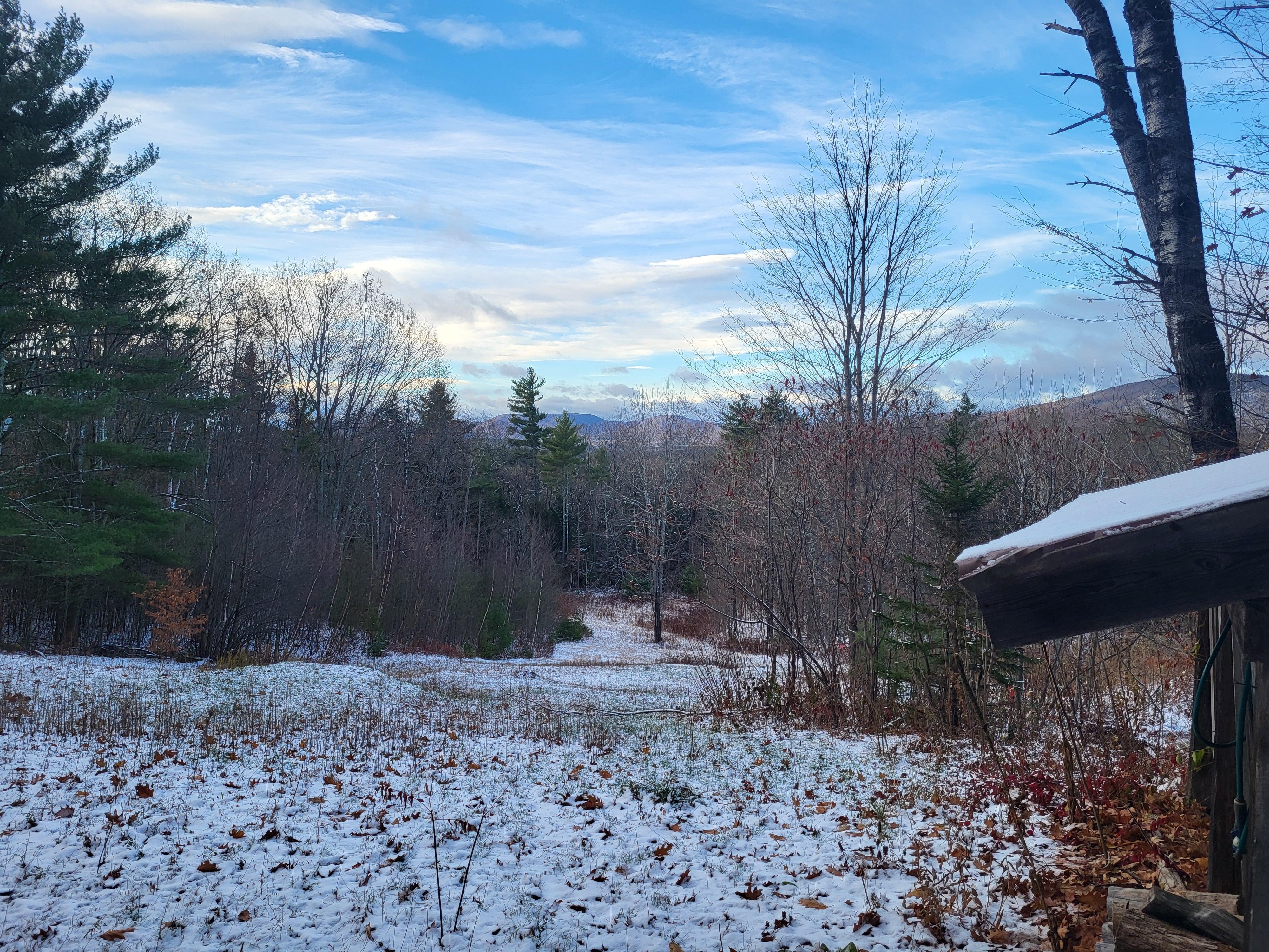 View from the living room. We woke to a dusting on snow.