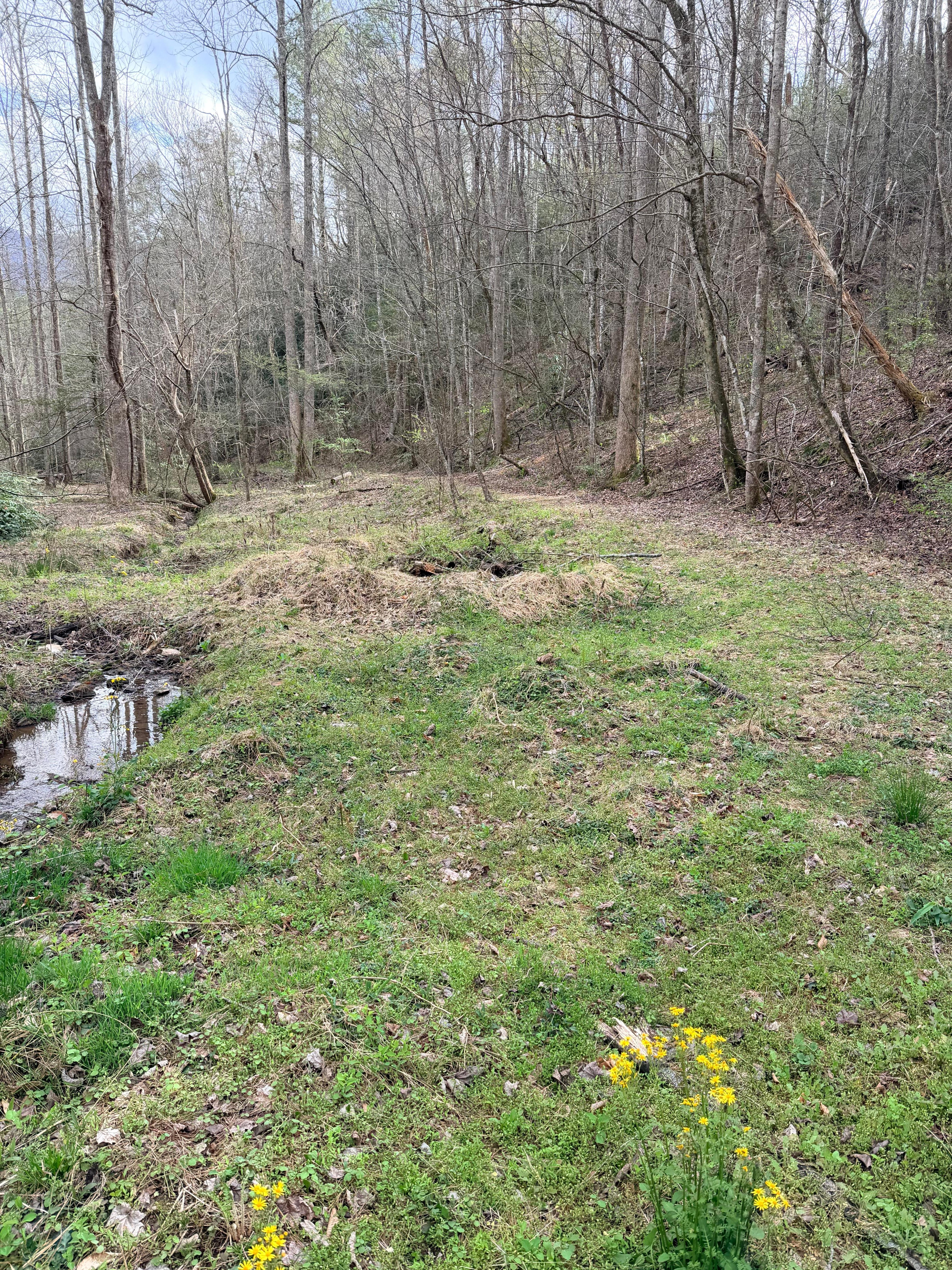 Surrounded by nature, not a soul in site.