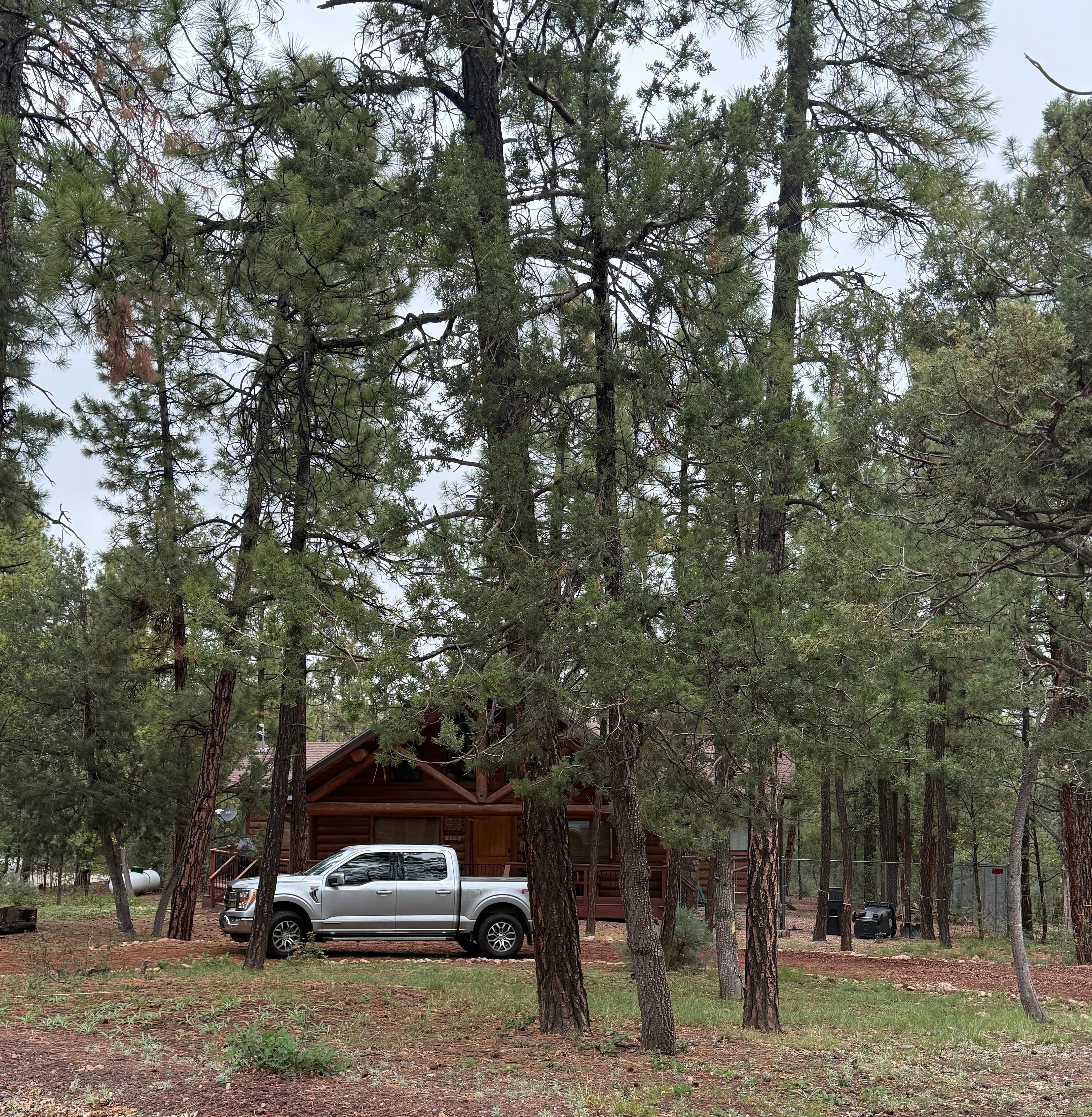 Front of cabin from the road
