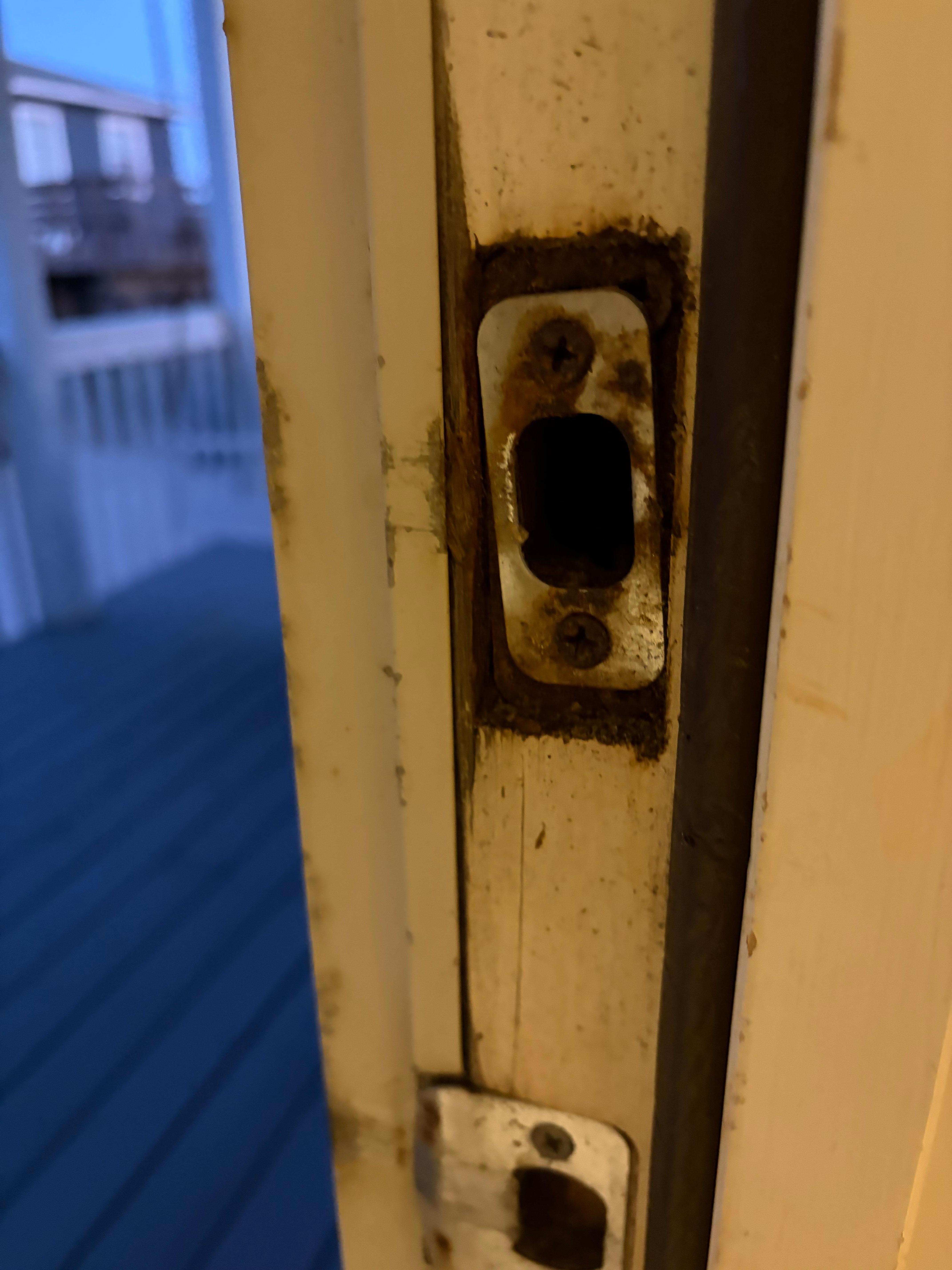Rotted door frame = mold hidden under the frame (rip it out and you'll see)