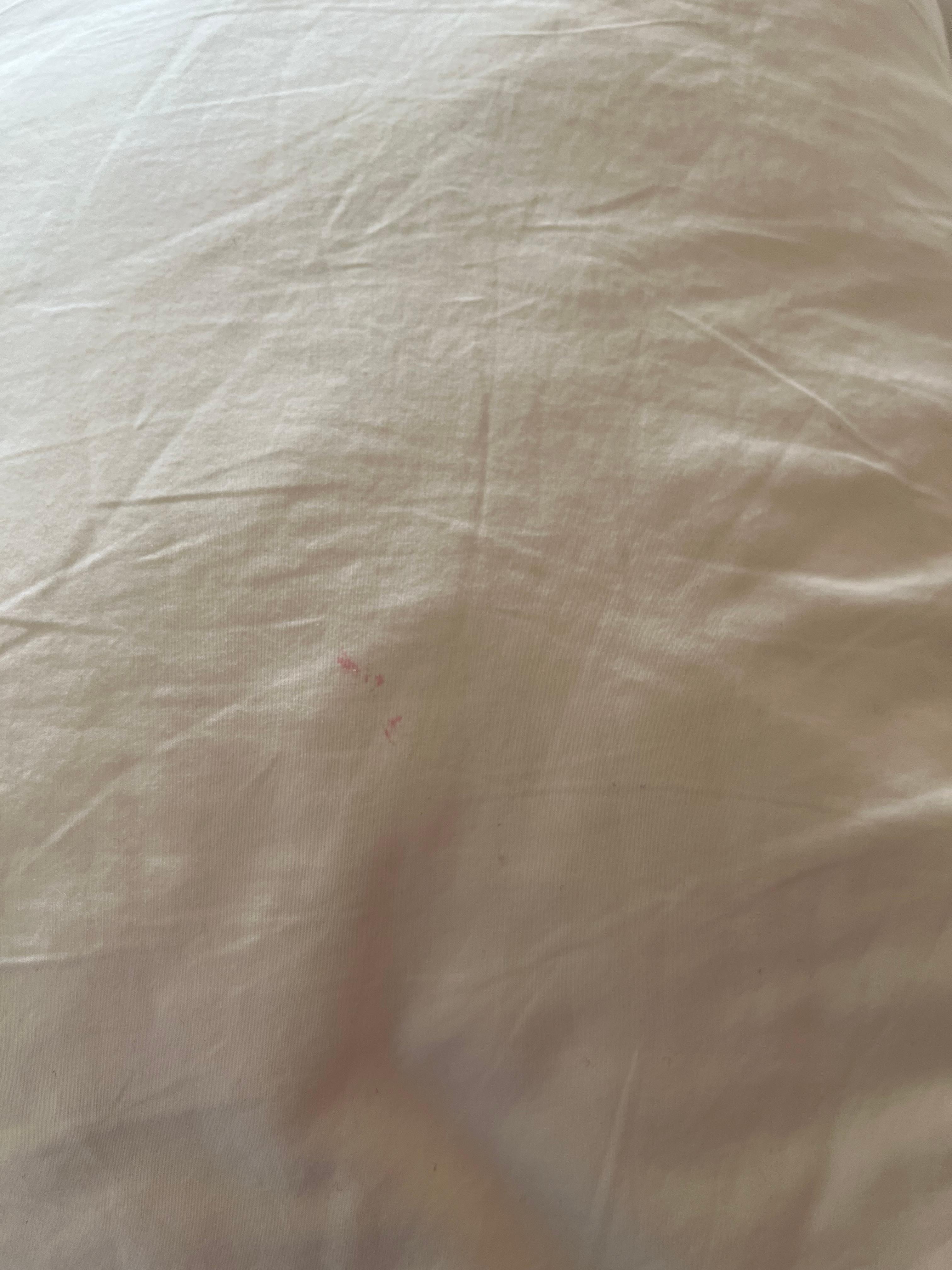 Manchas en los blancos de la cama  y almohadas. 