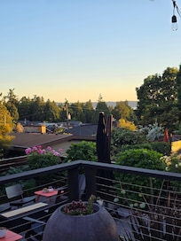 Back deck views