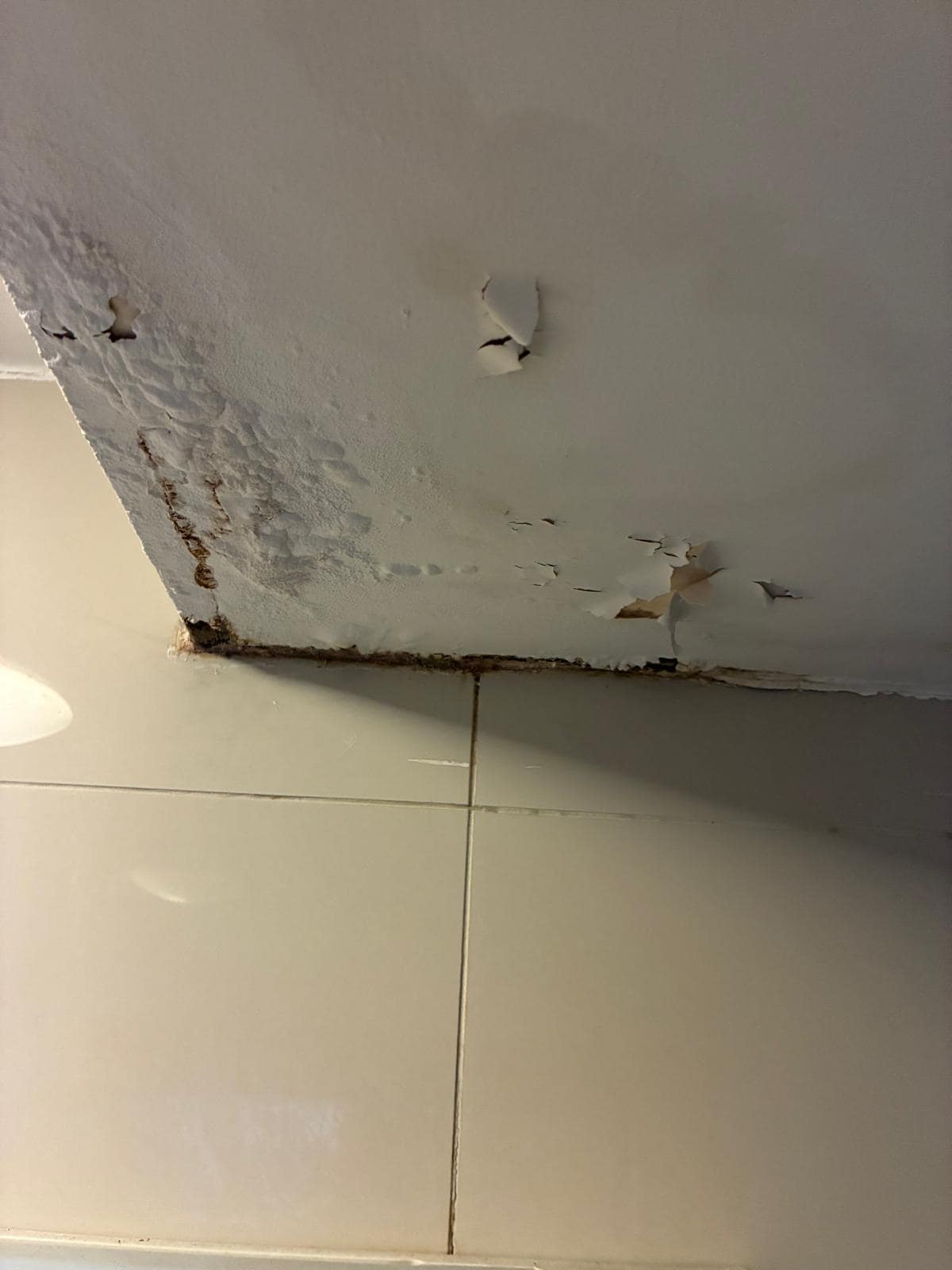 Bathroom ceiling