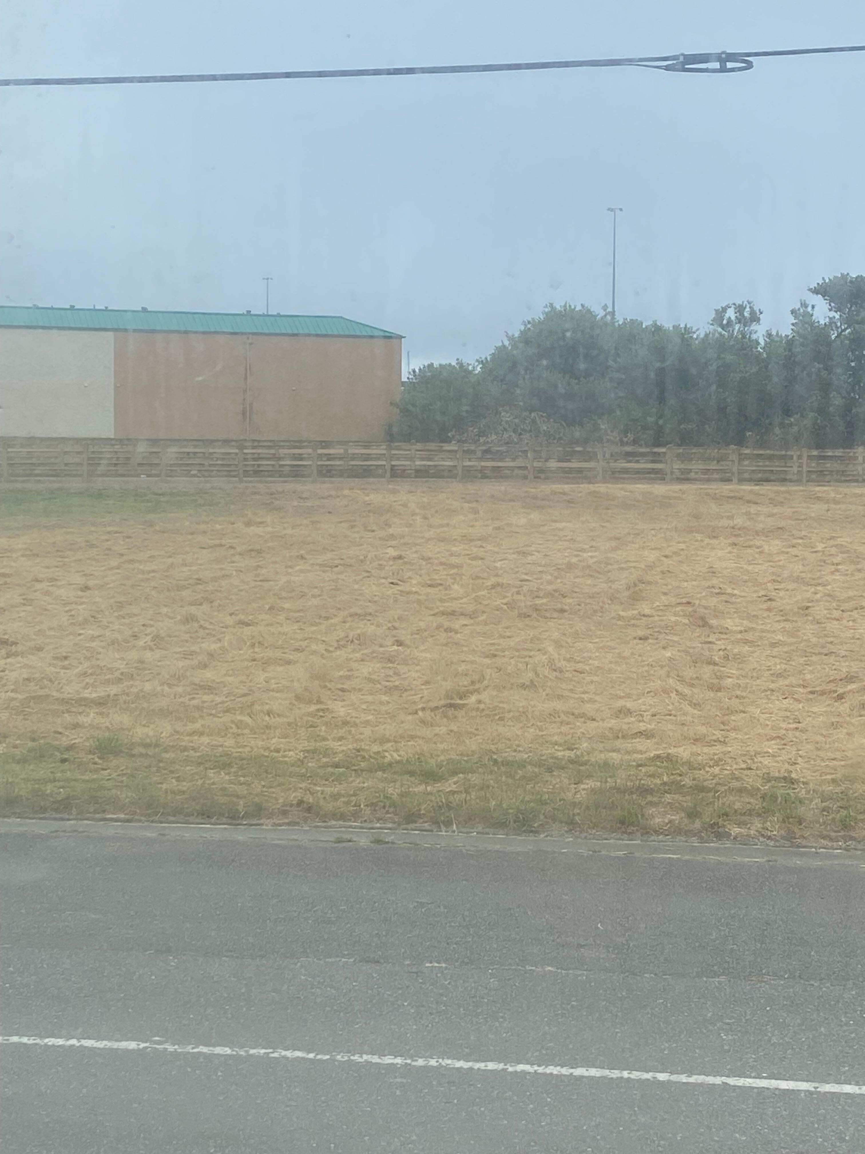 Filthy windows