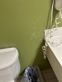 Mold on bathroom wall