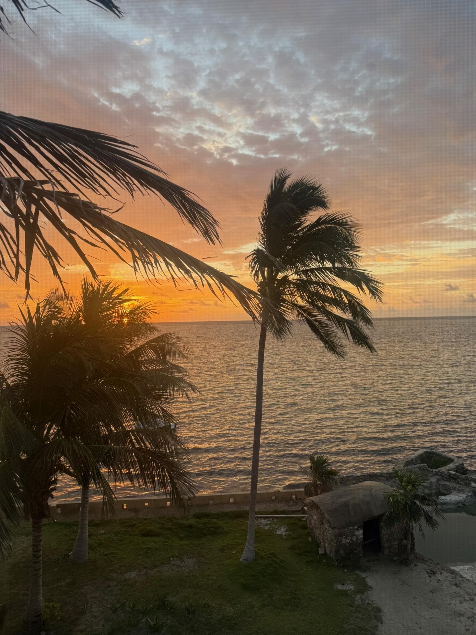 Picture from our deck. 