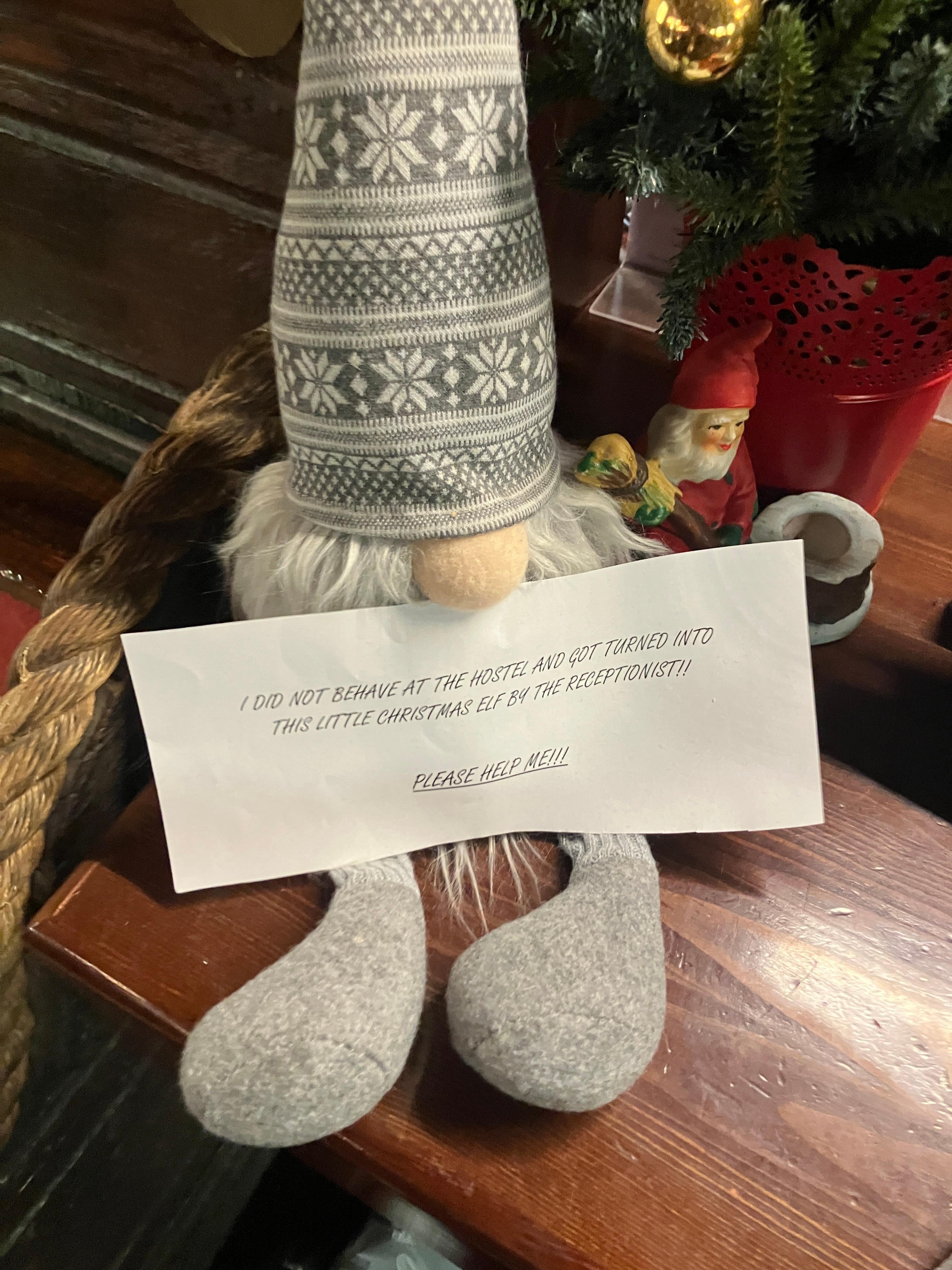 A gnome at the reception 😁