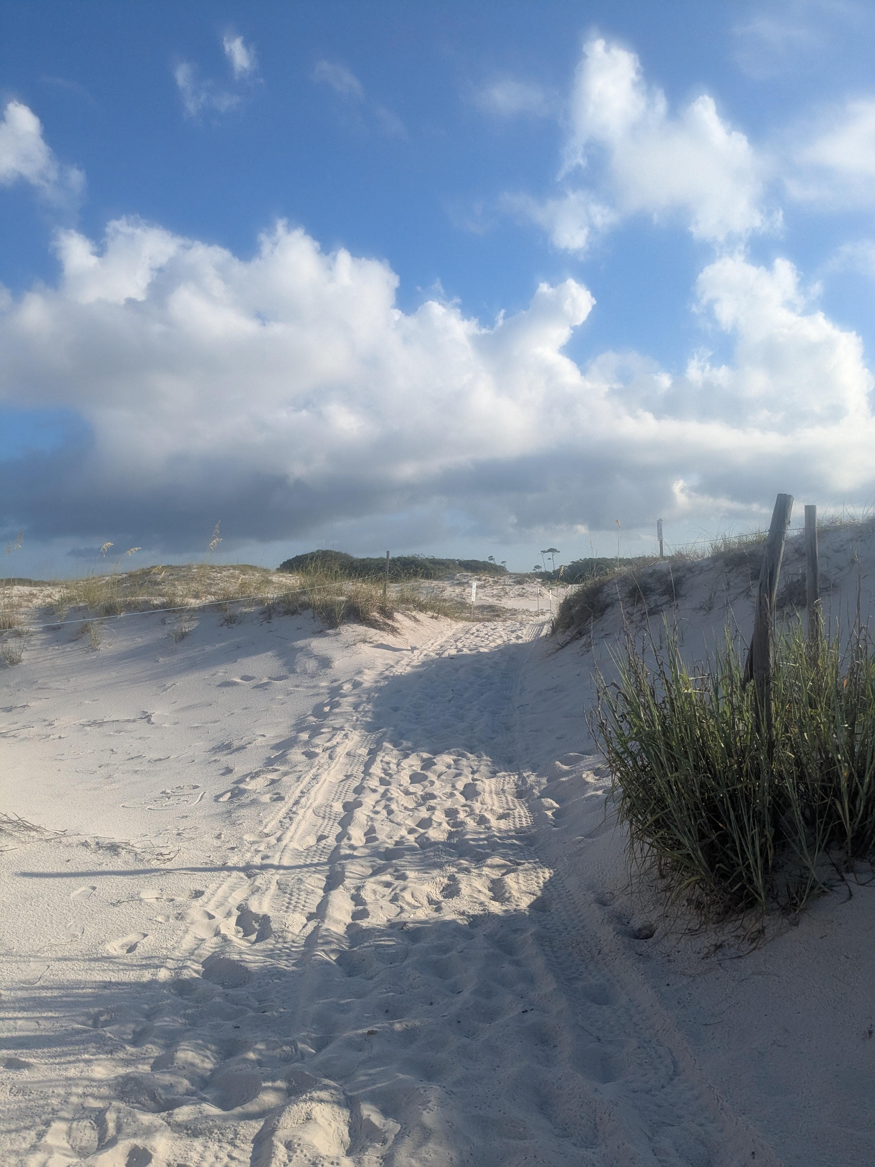 Bon Secour beach close to property, better than public beach!