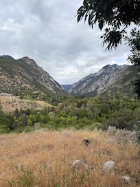View from the sitting area in the back yard