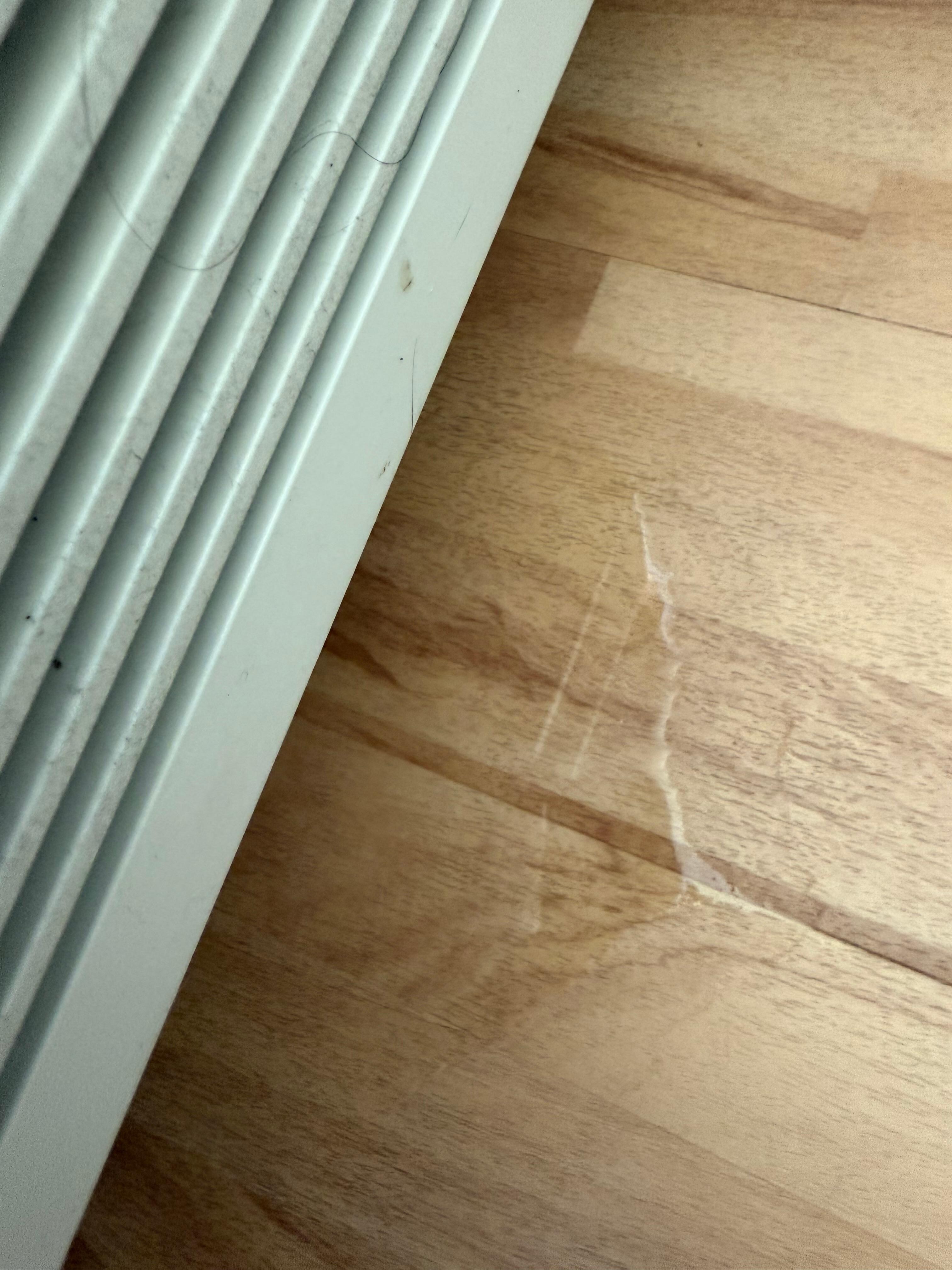 Water under the A/C unit. Nedded a good clean! 