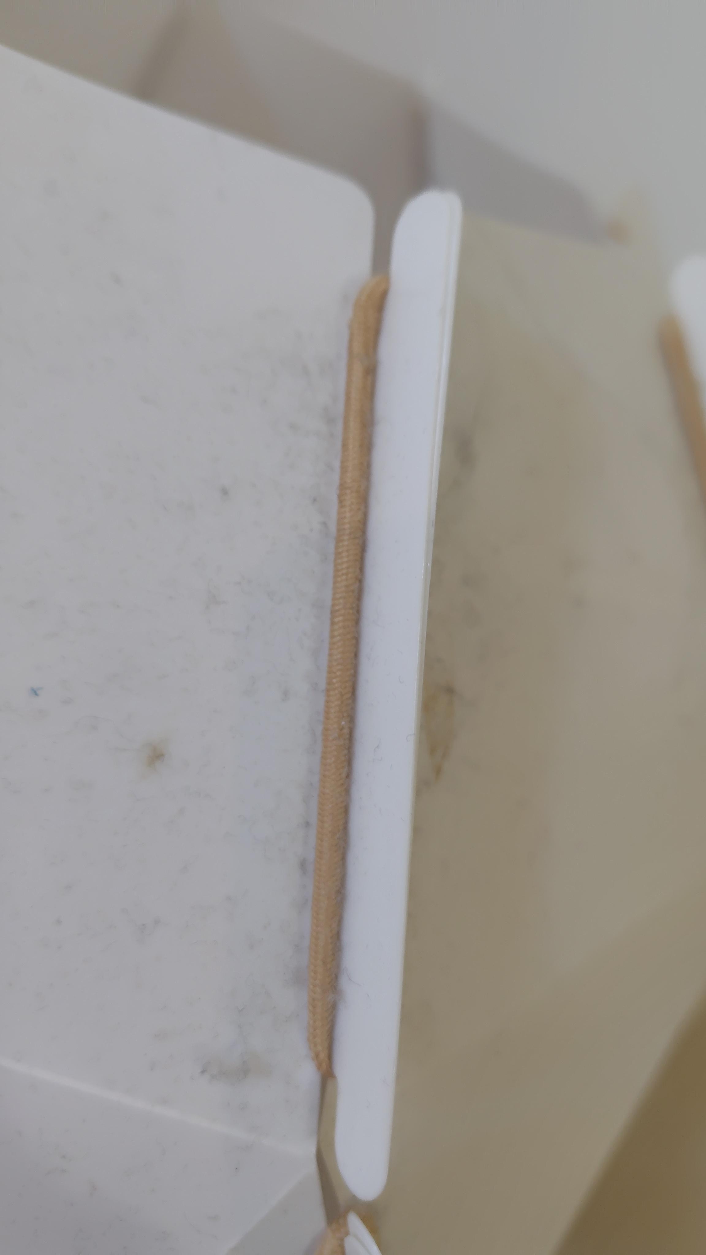 照明器具のホコリ