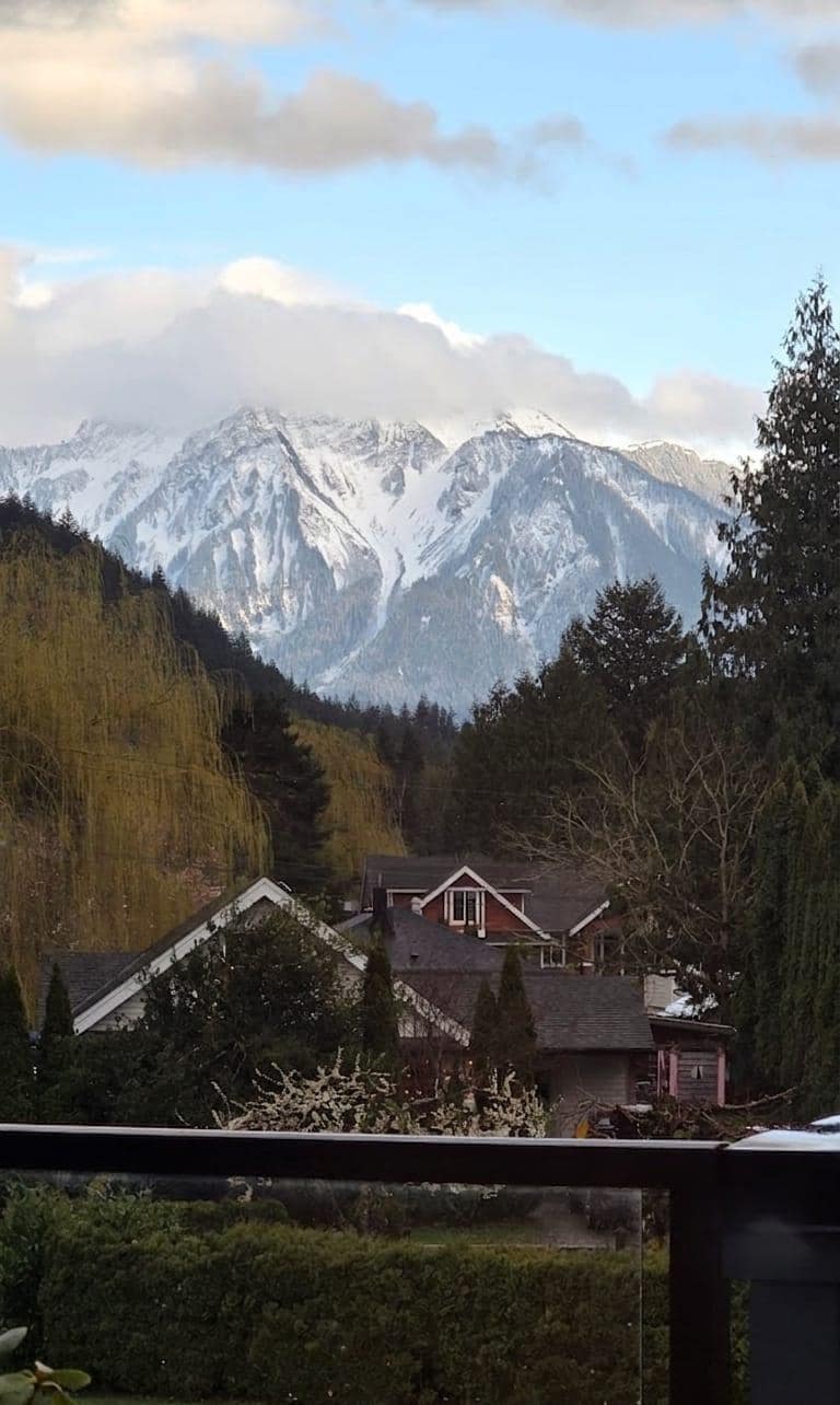 Mountain view from living room. 