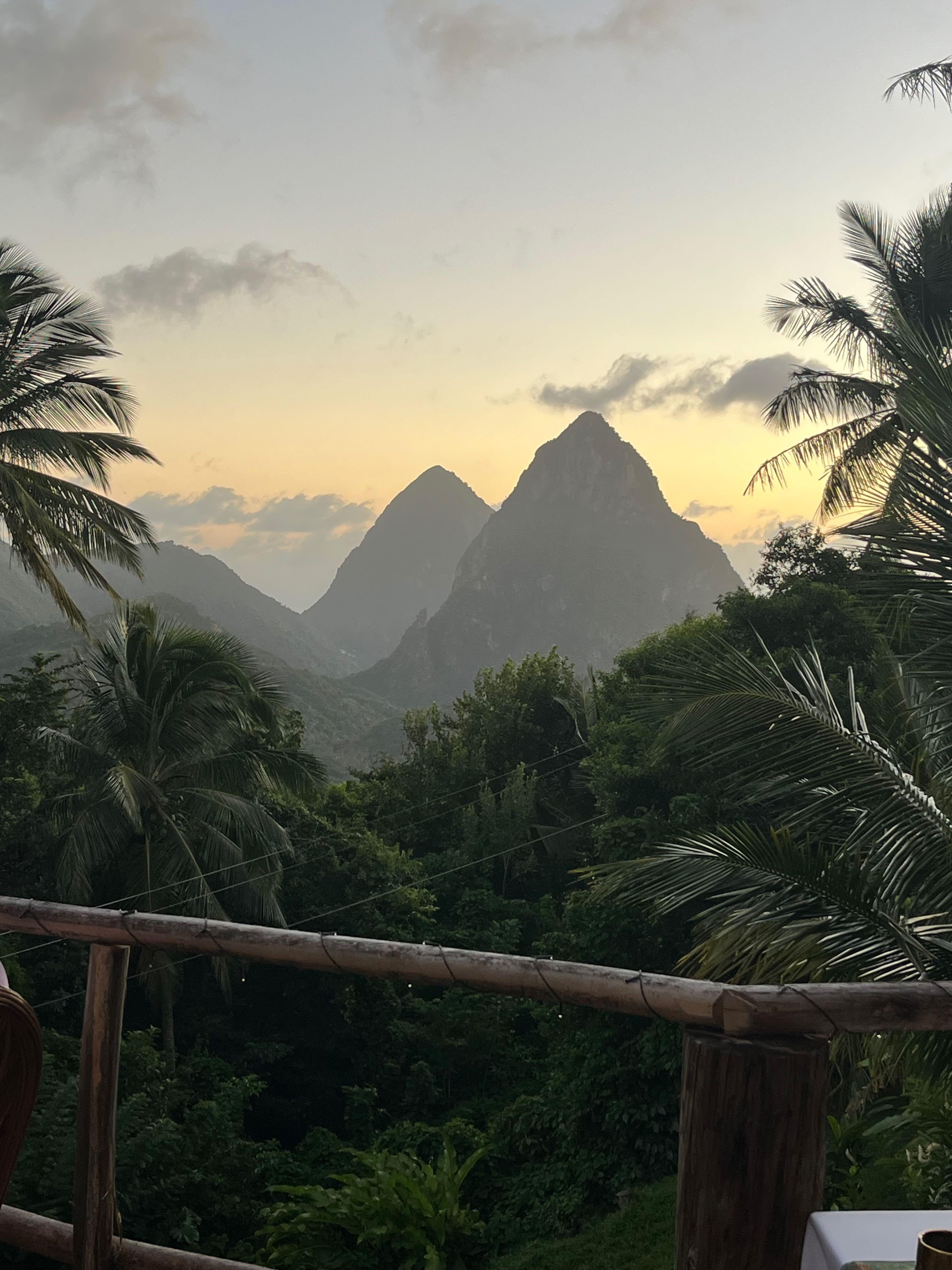 view from treetop restaurant