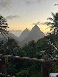 view from treetop restaurant