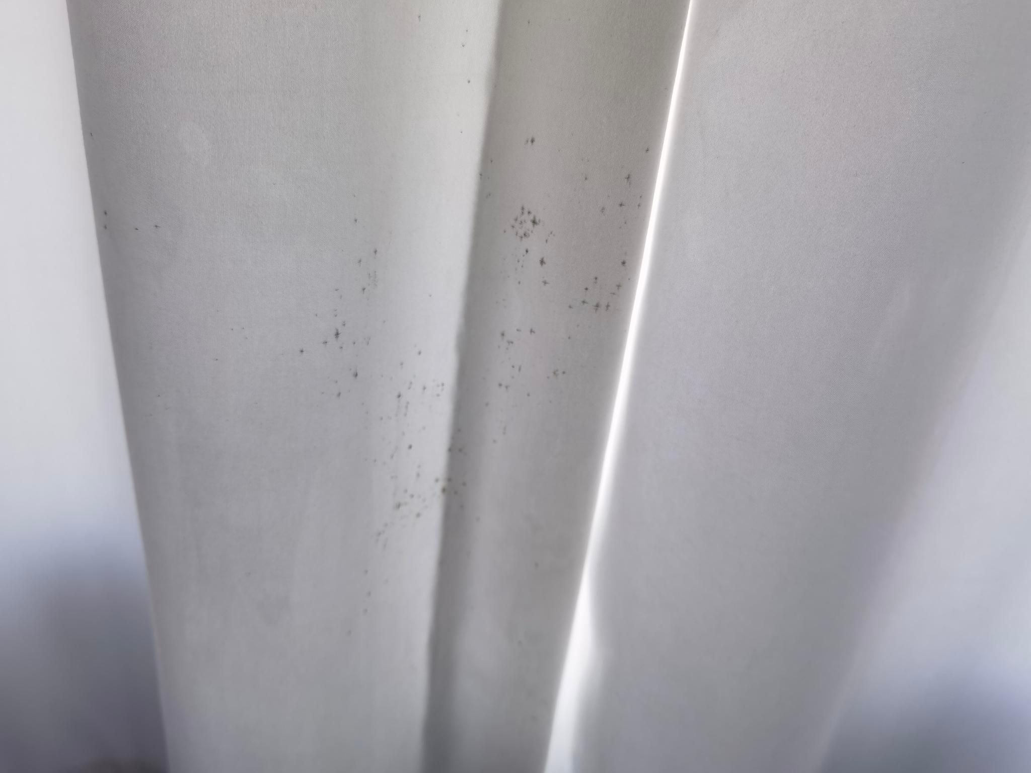 Mould on the curtains