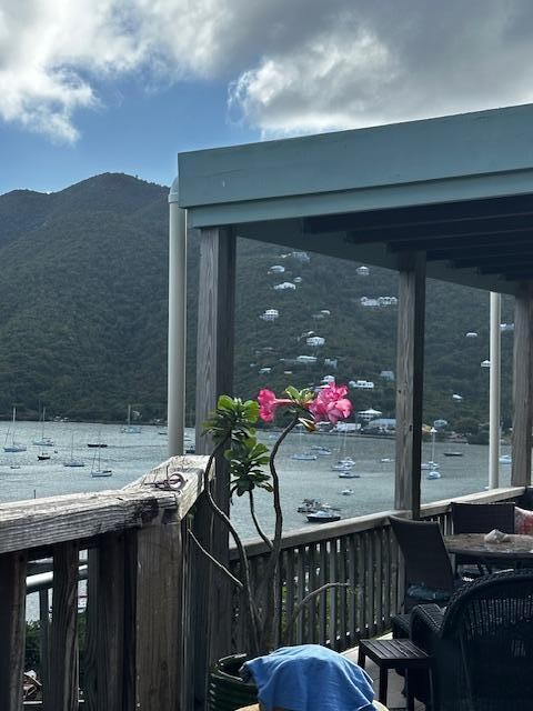 View from the pool deck