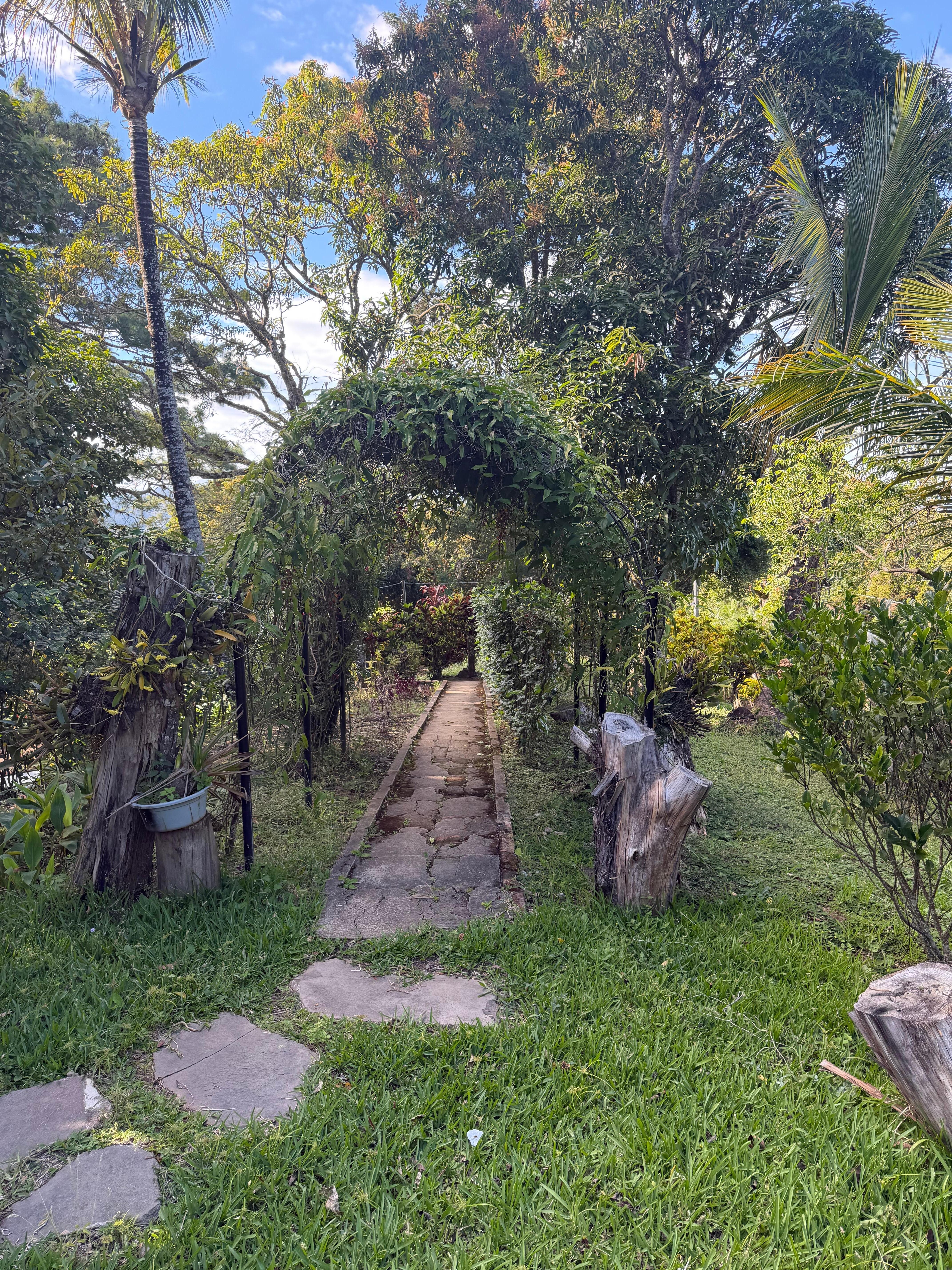 Beautiful landscaping 