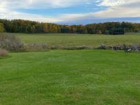 Field behind house