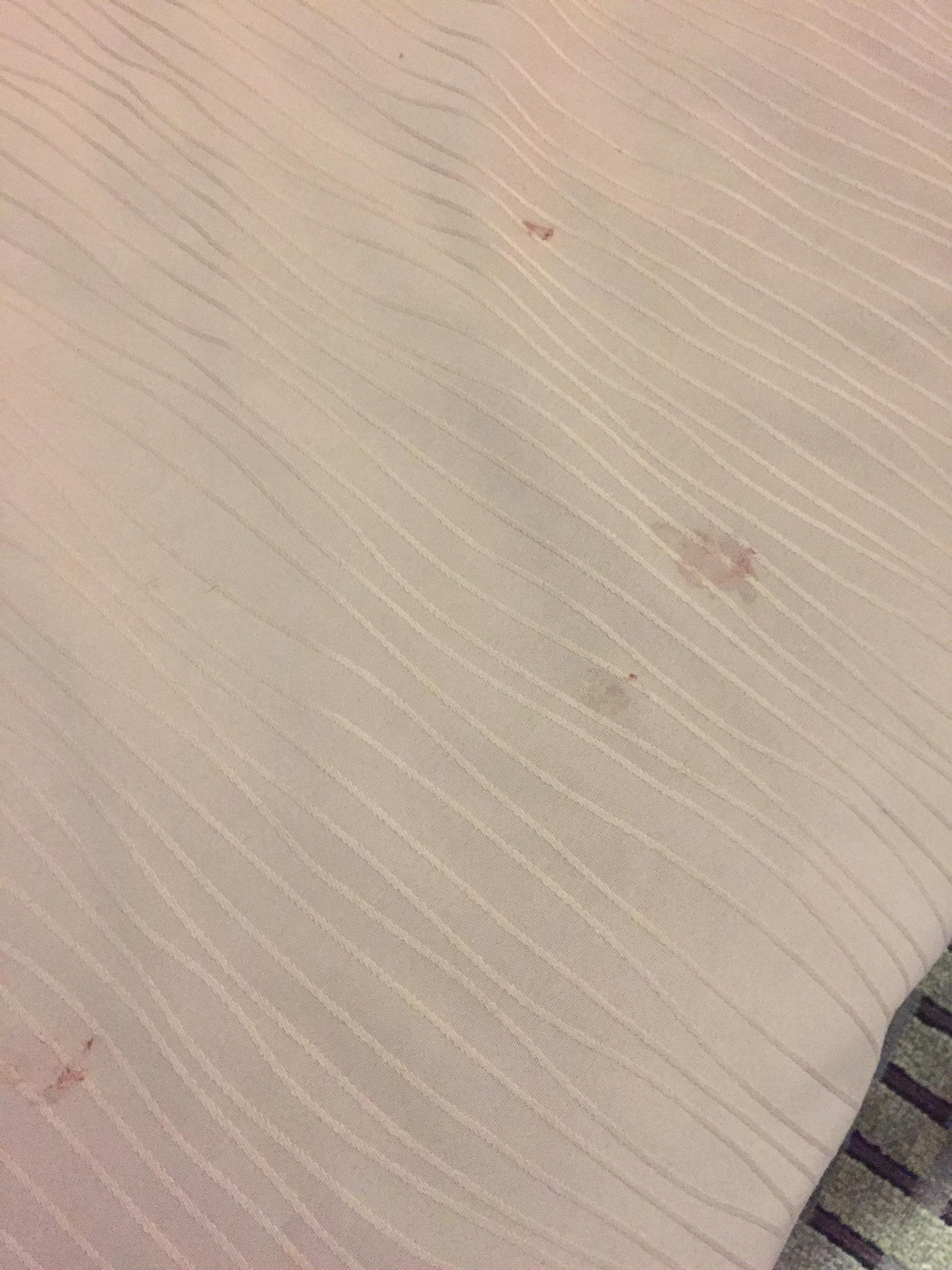 Blood Stains on the Comforter