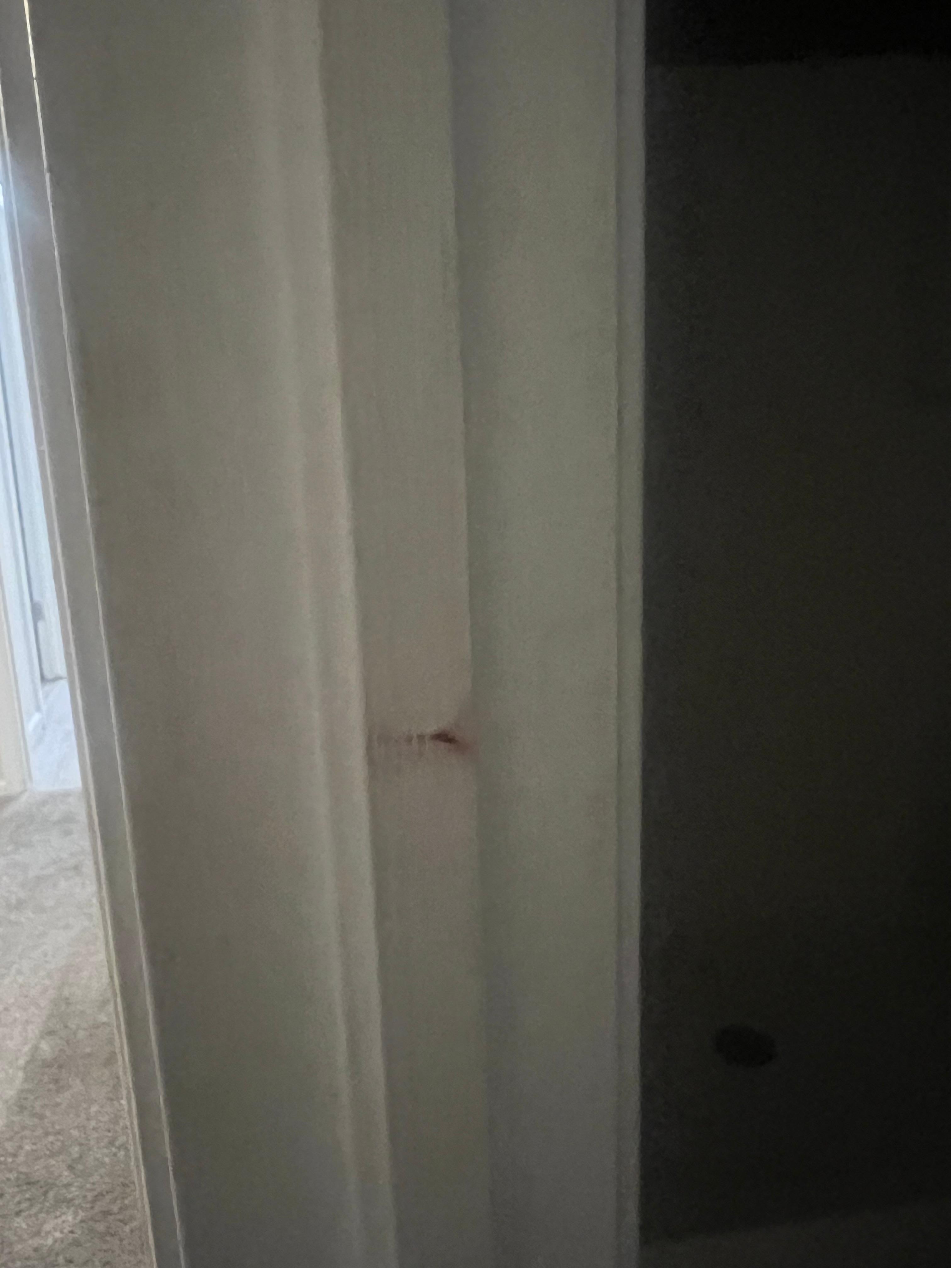 Looked like a blood stain