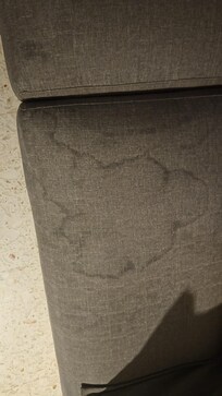 the stained coach