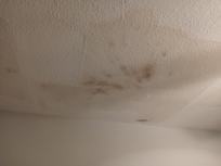 Ceiling in downstairs bedroom
