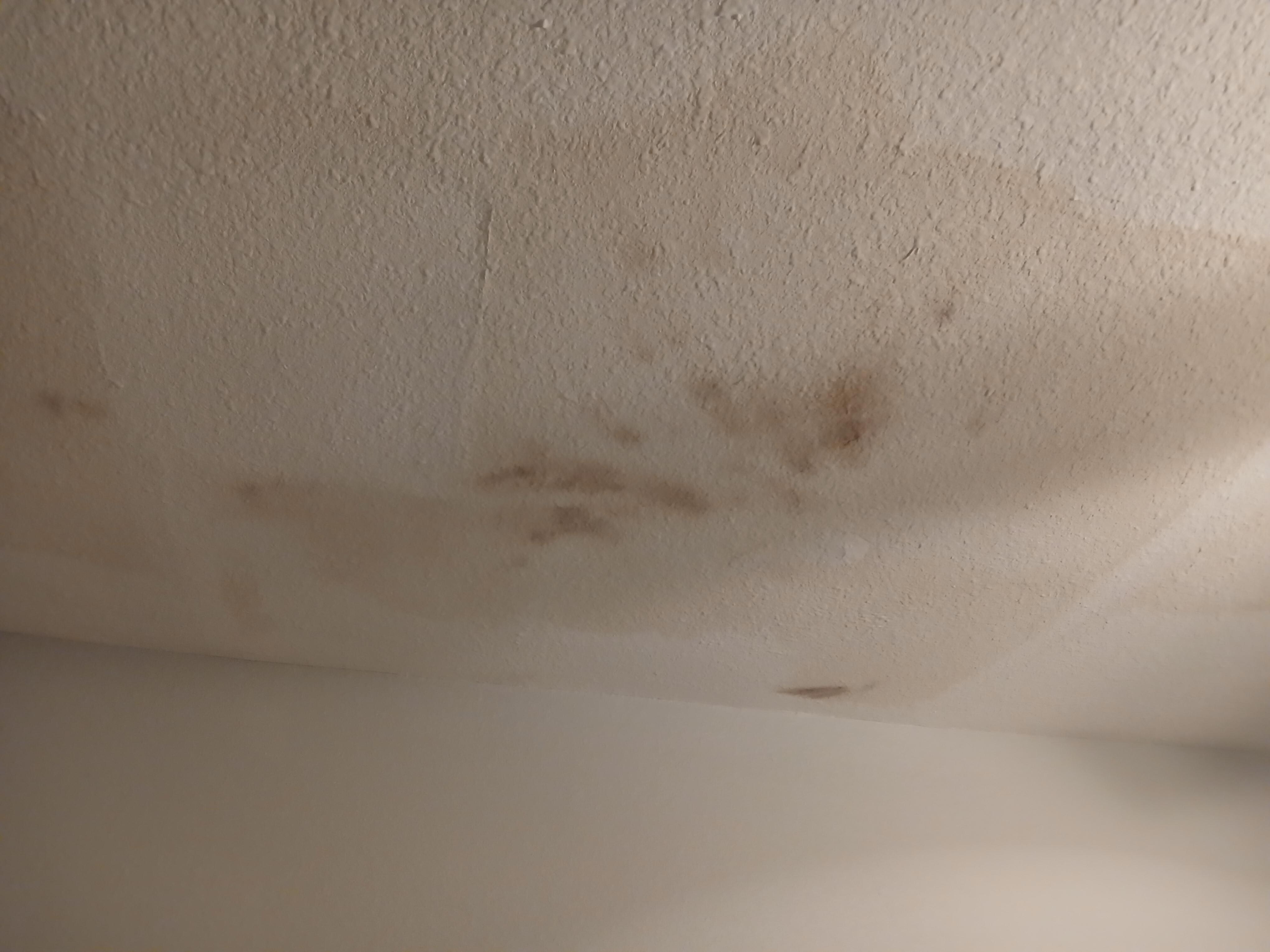 Ceiling in downstairs bedroom