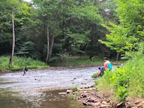 River near cabin