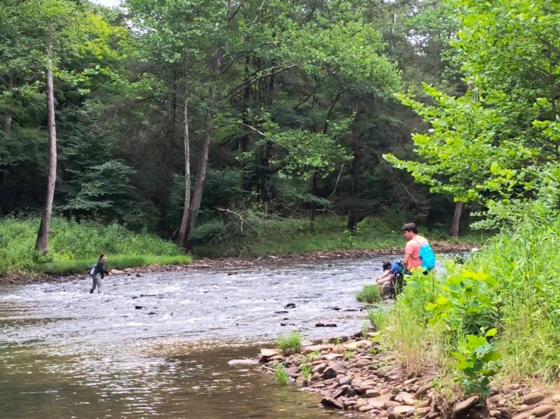 River near cabin