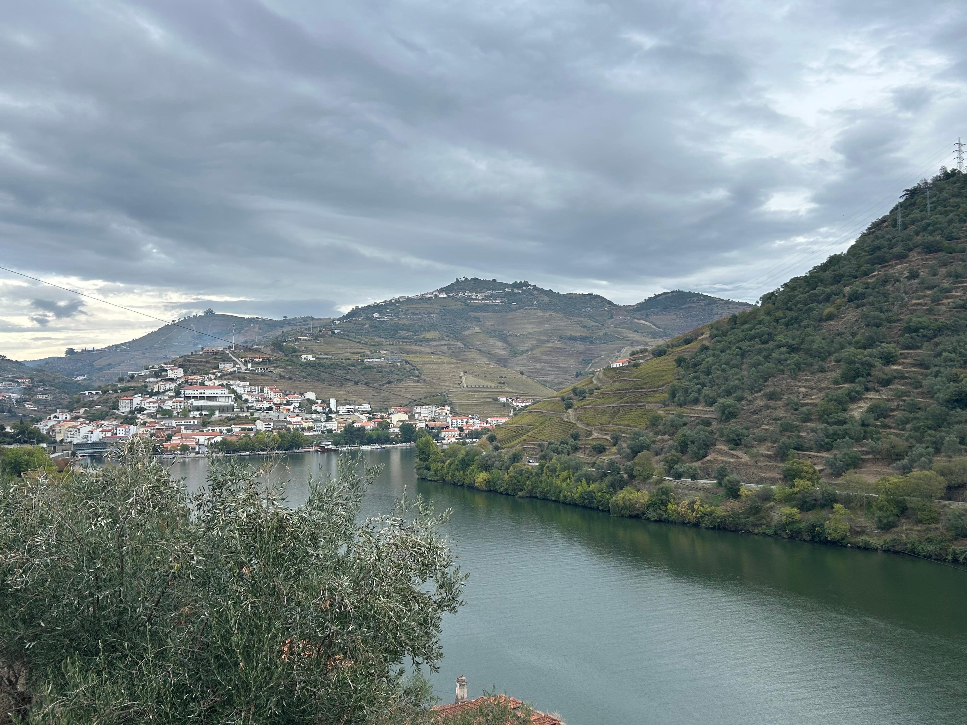 View from the property