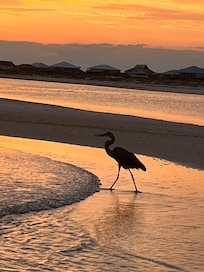 Sunset by condo