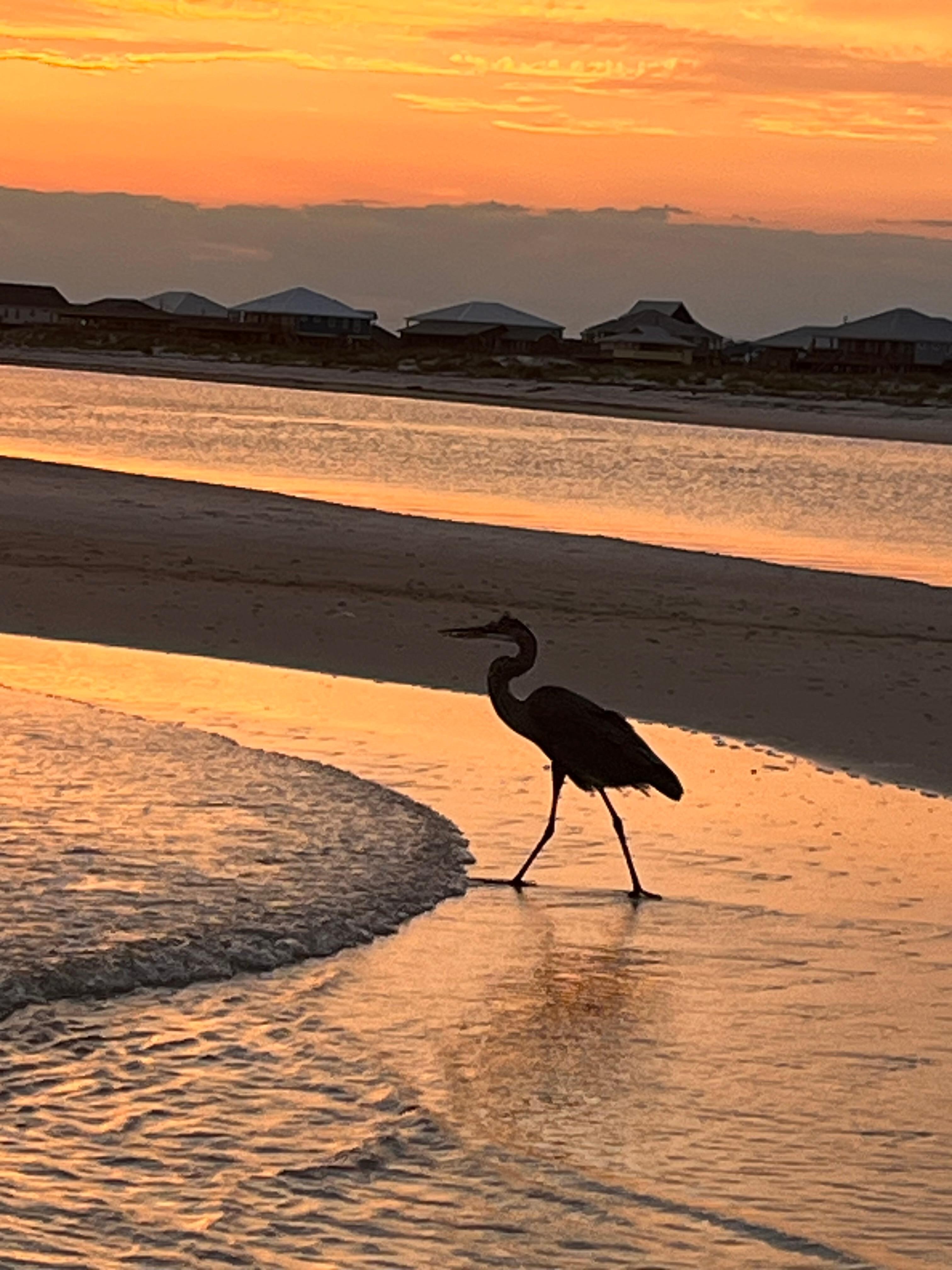 Sunset by condo