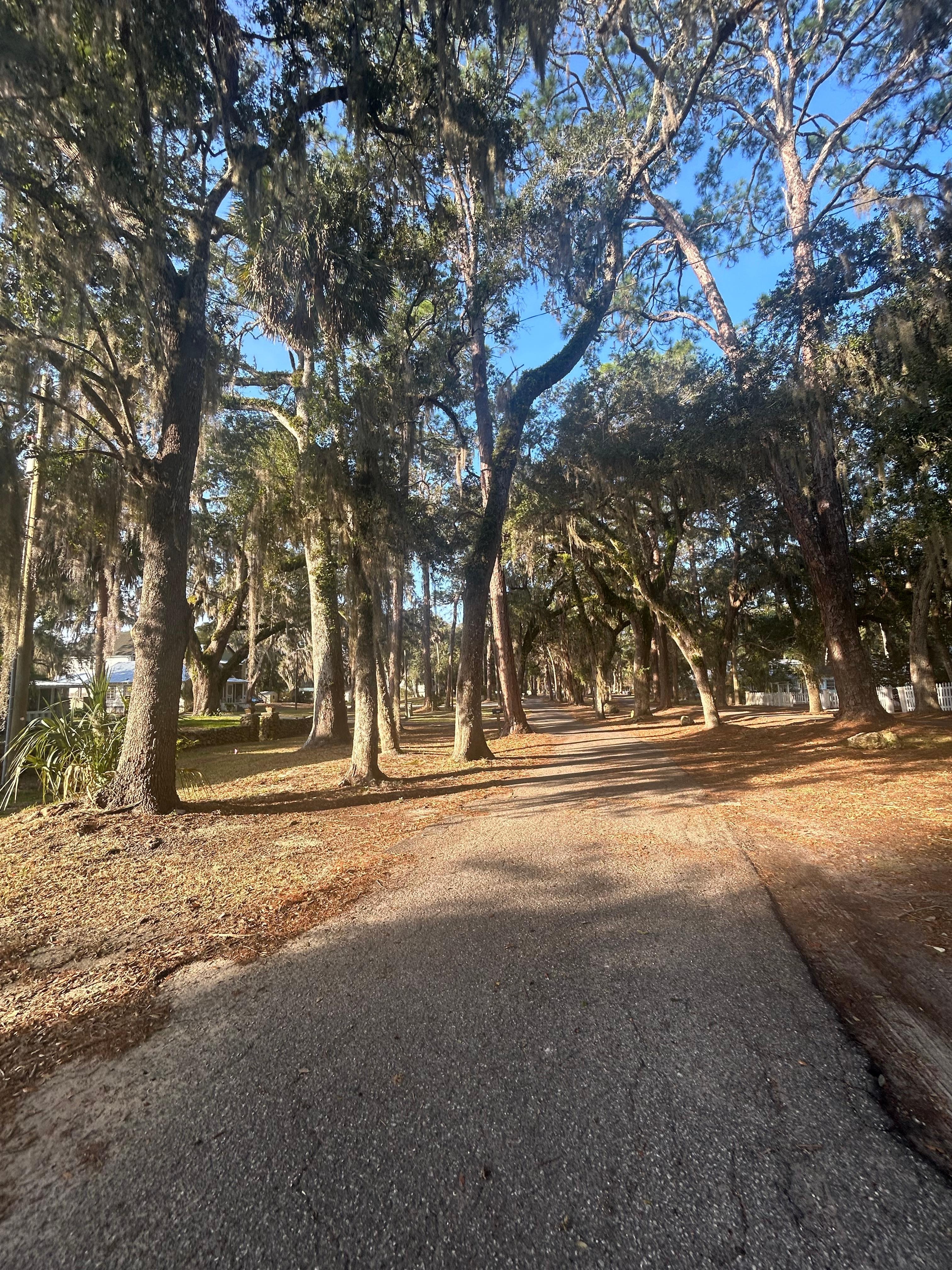 This is just a block down, quaint street that runs along the river