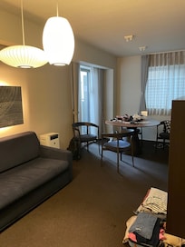 Living/dining room