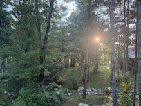 view from the porch, during my morning coffee in the rocking chair.