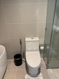 トイレはシャワートイレです。ペーパーの位置は海外あるある。。。