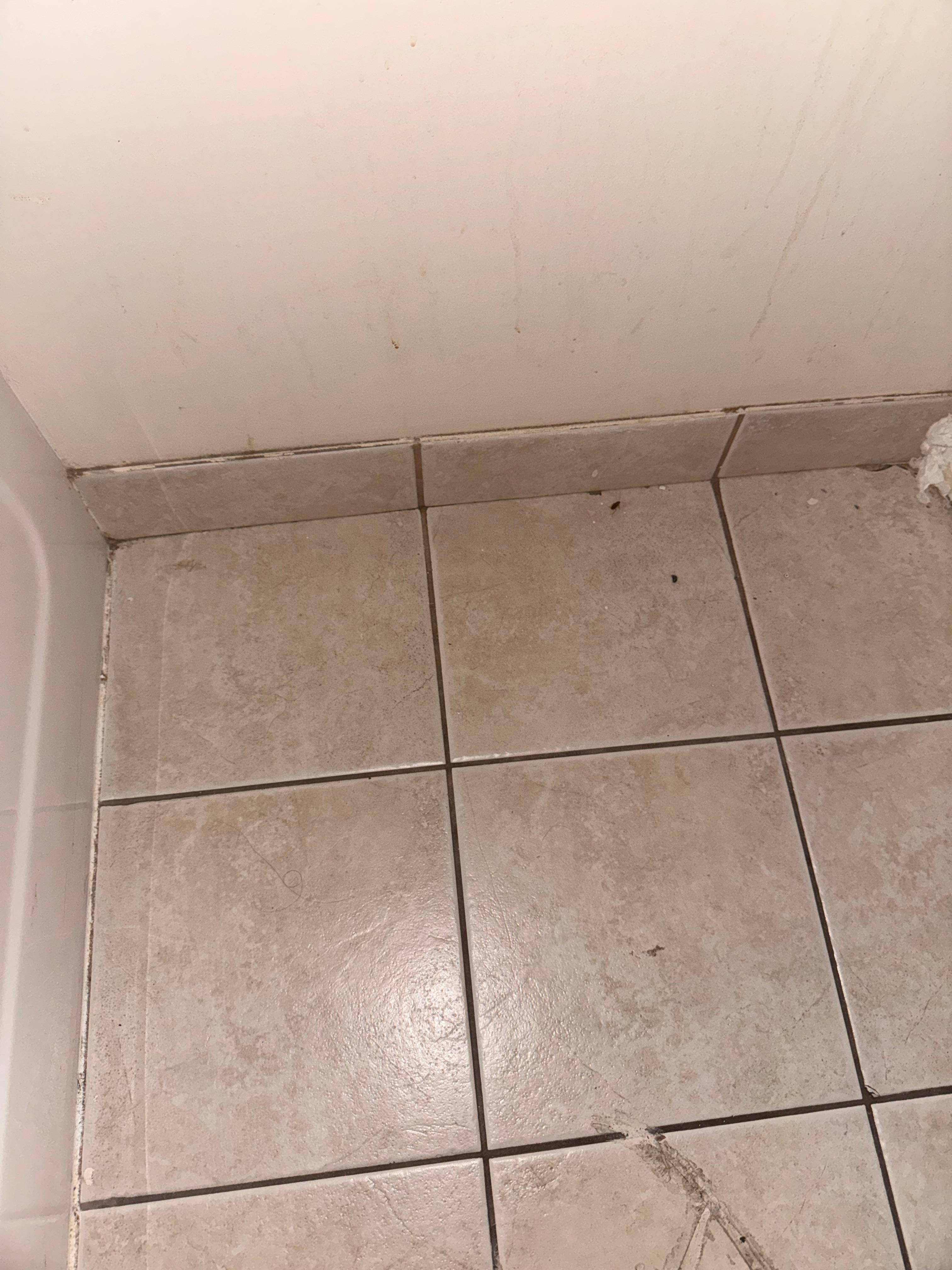 The toilet paper in the corner was stuffed into the space from missing moulding, the roach is in the middle tile against the wall