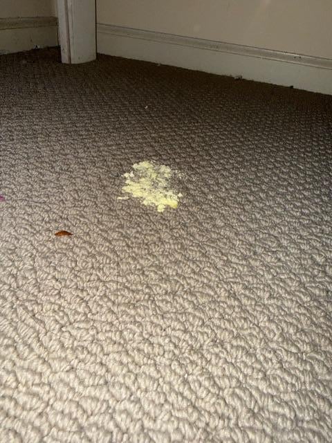 Pile of something gross under a twin bed